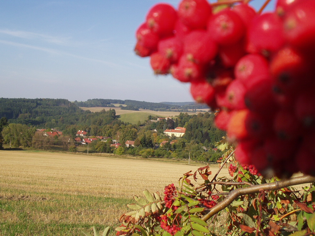 Smilkov - obecní úřad foto 6