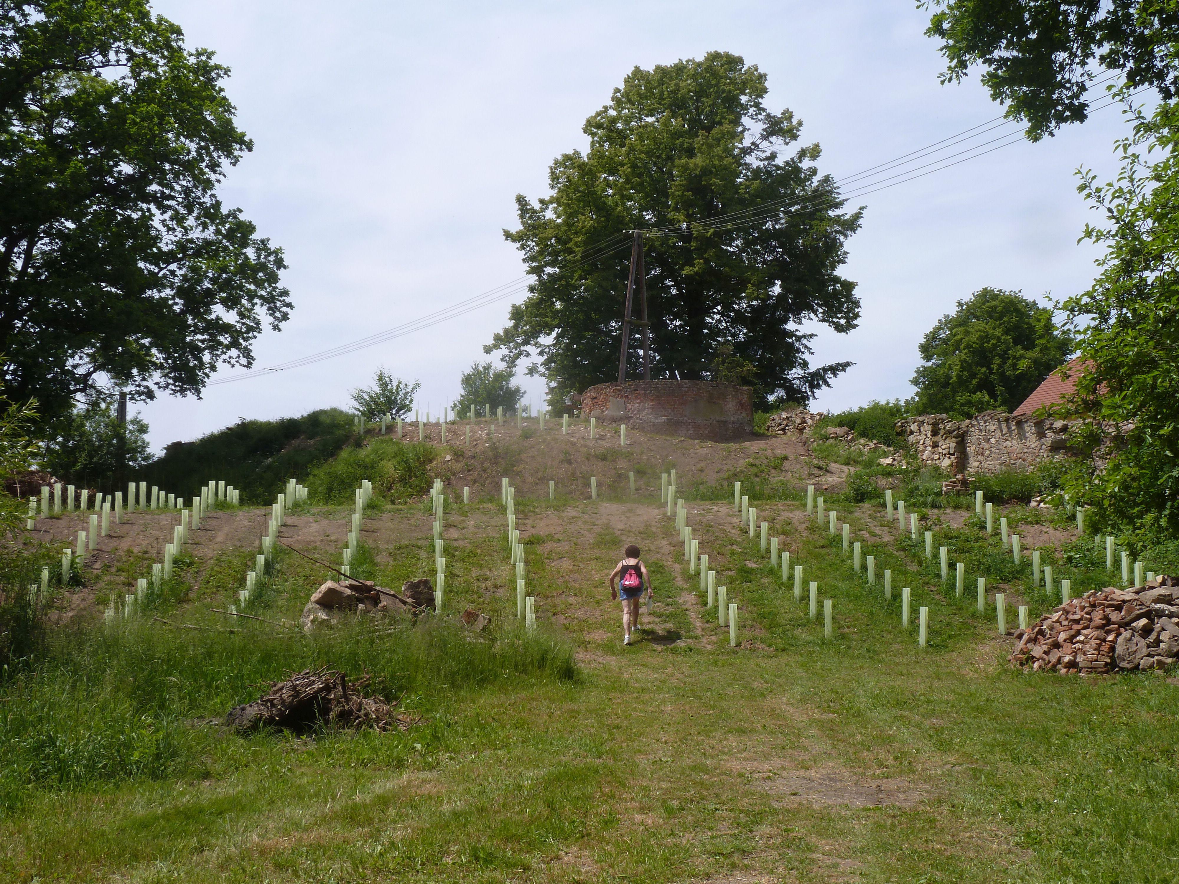 Vinice u náhonu foto 3