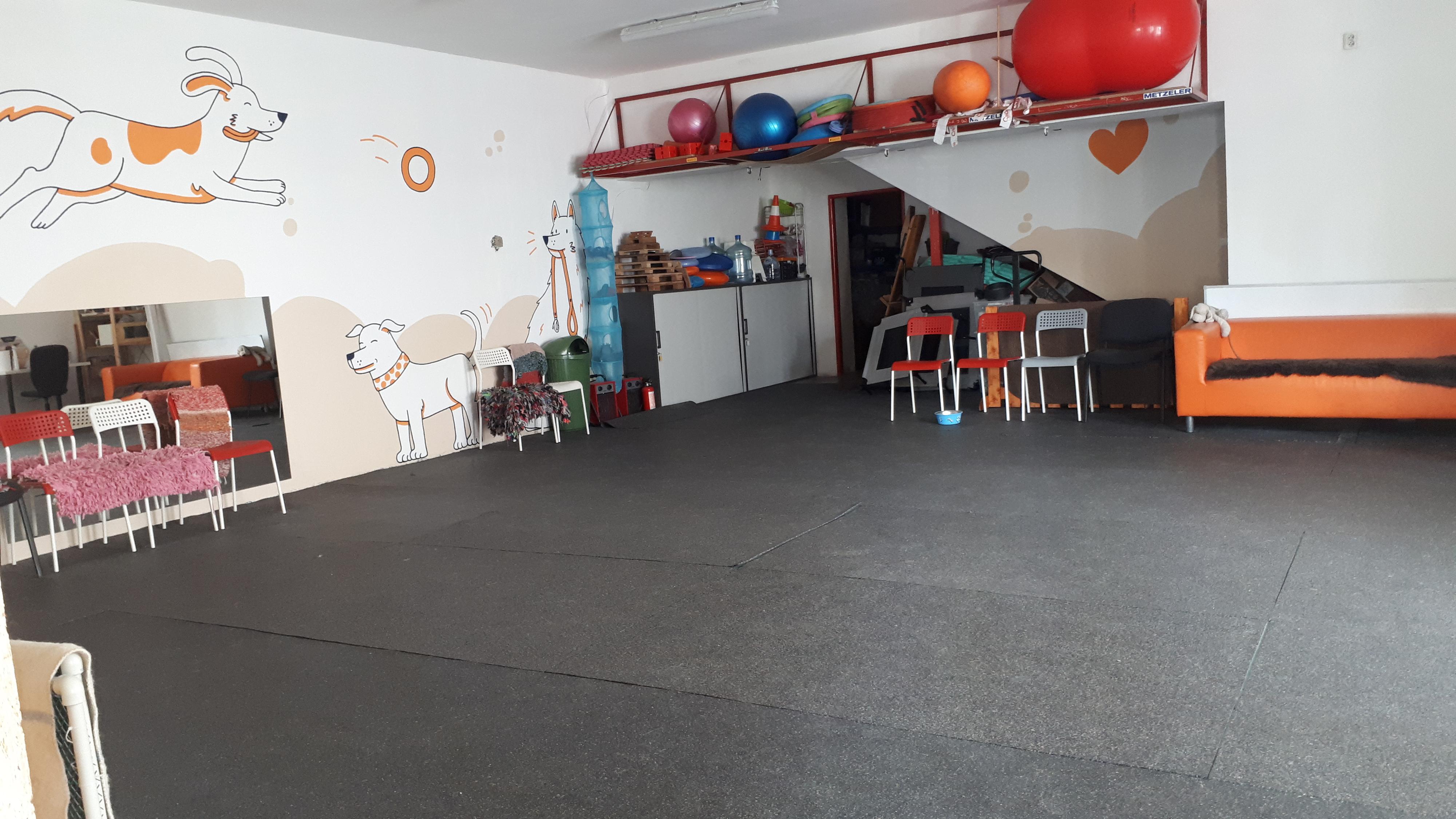 ZVÍŘE.CZ foto 3