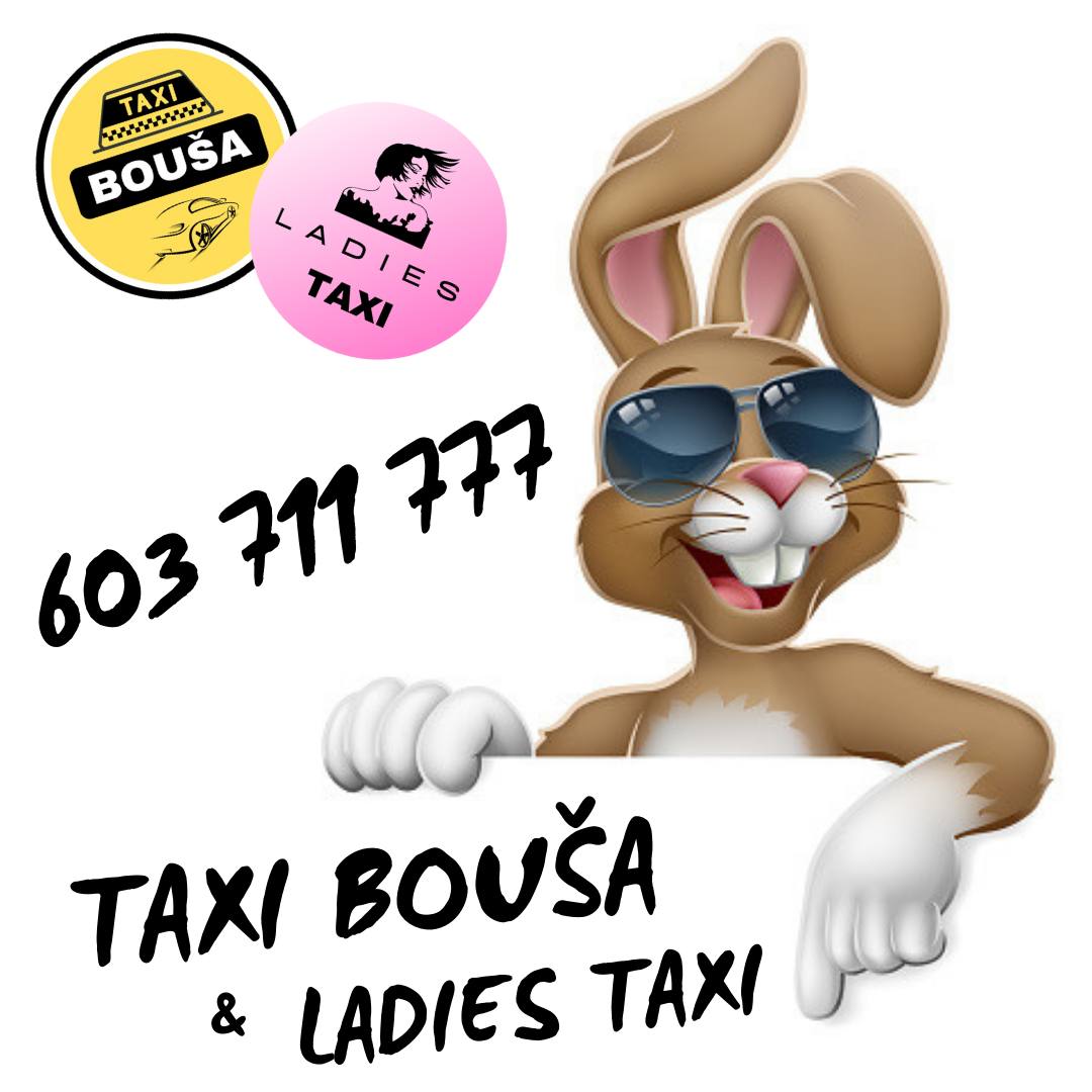 TAXI BOUŠA & LADIES TAXI foto 1