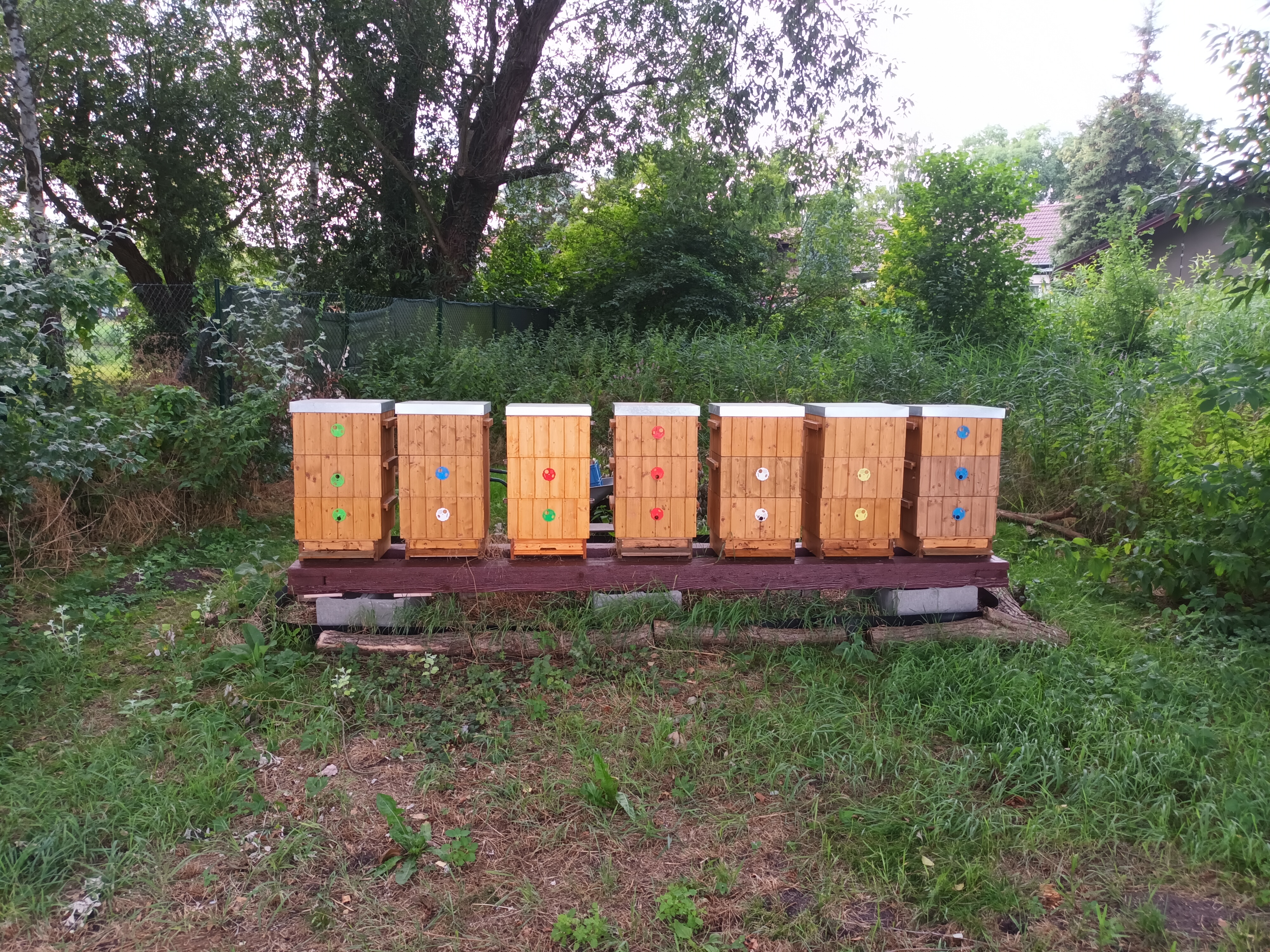 Včelařství Ječný foto 2