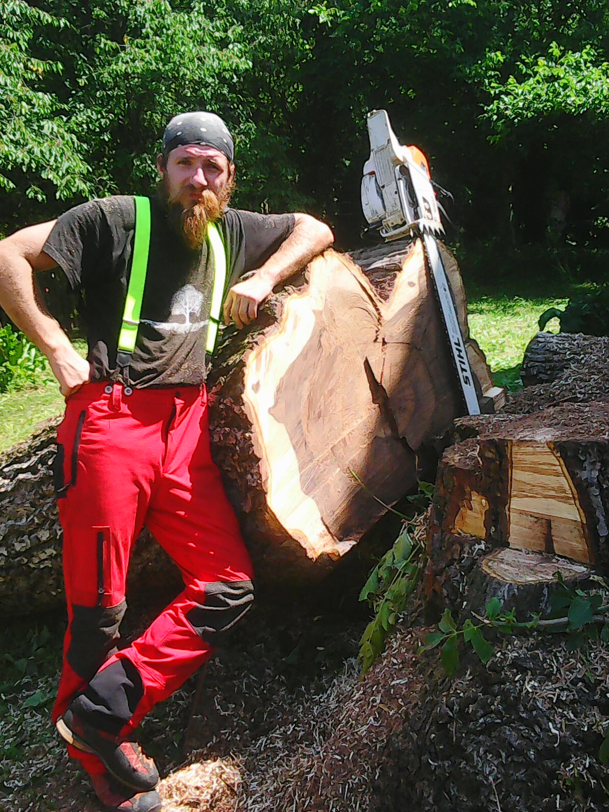 Martin Kytka - rizikové kácení stromů foto 6