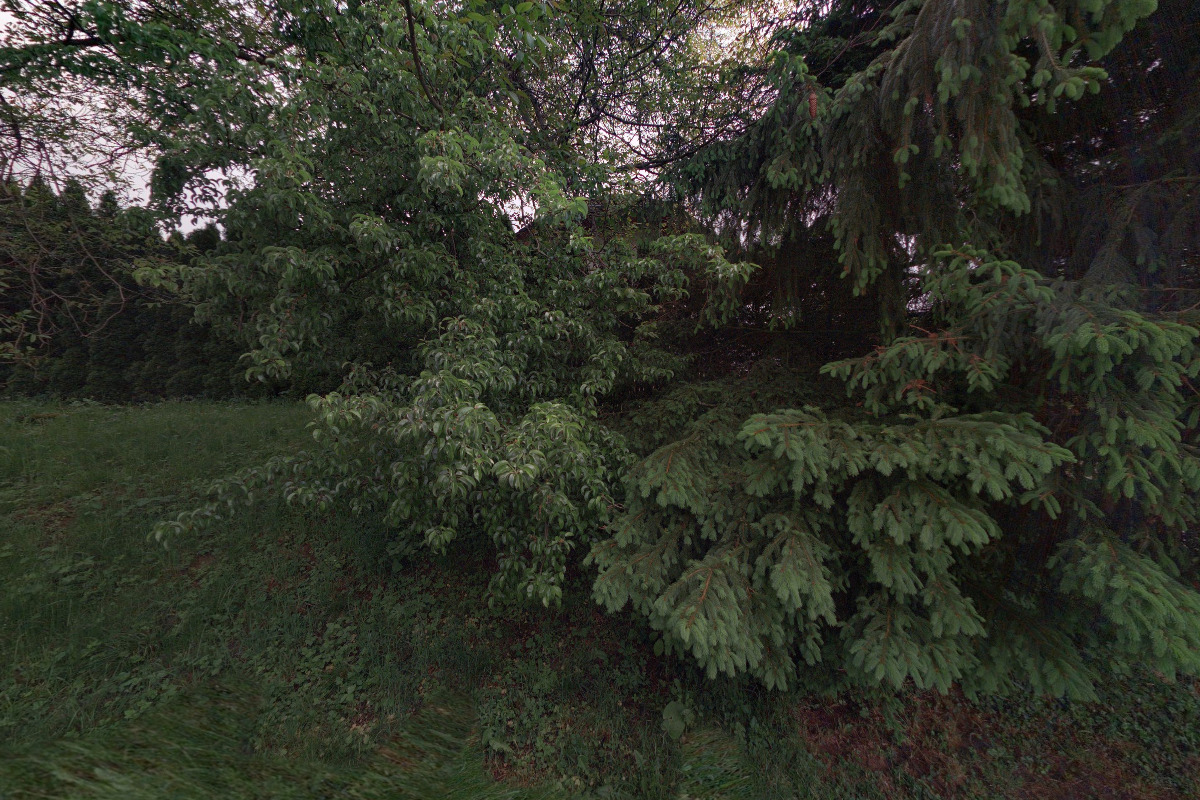 Výkopové práce - Jan Cvrček foto 2