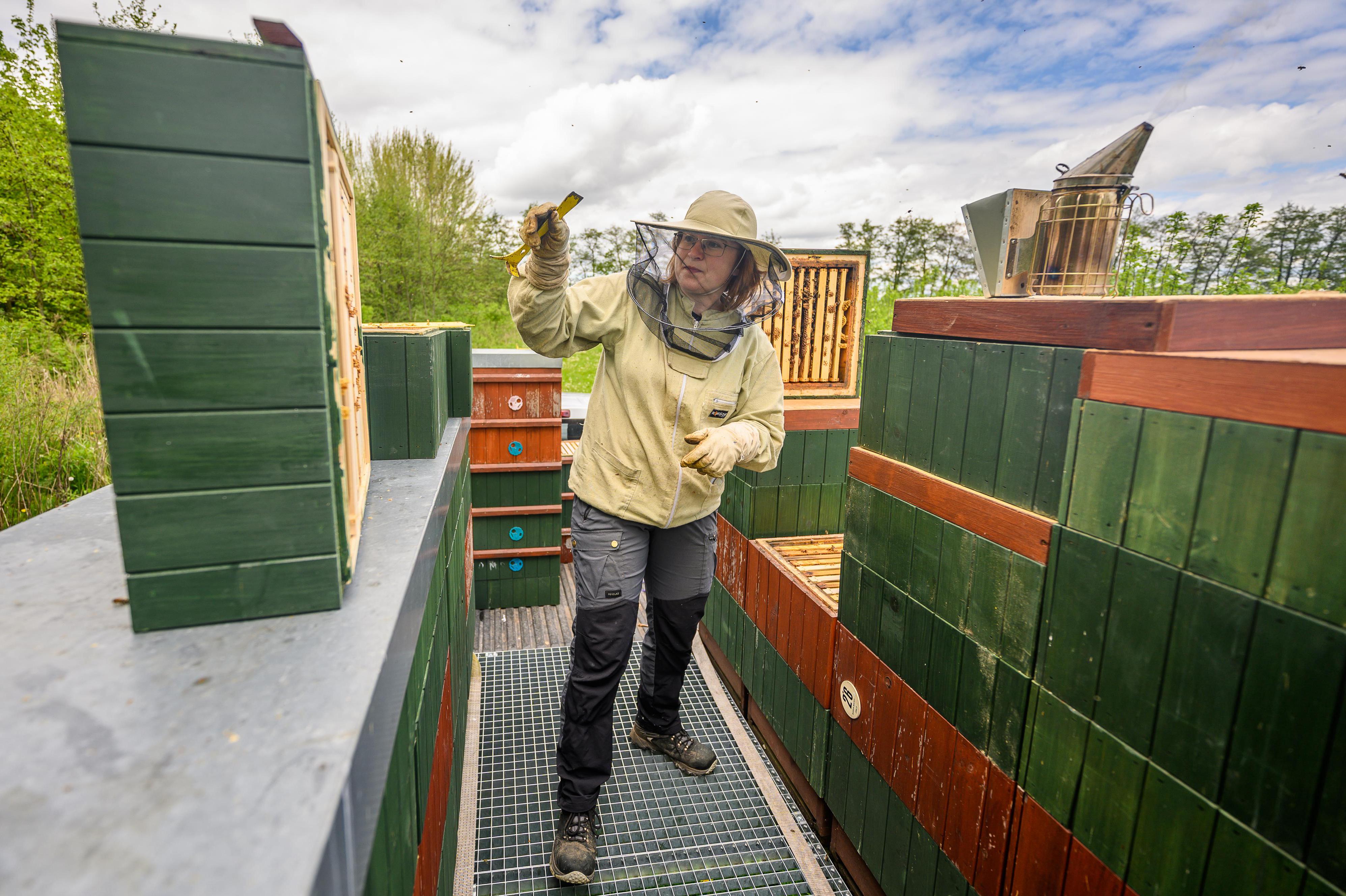 Včelí farma Poděbrady