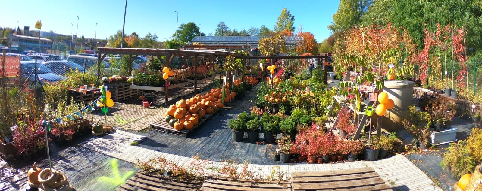 Zahradnictví Pod Skalkou foto 2