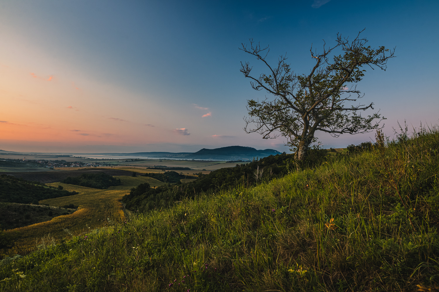 Fotograf Roman Ivičič foto 5
