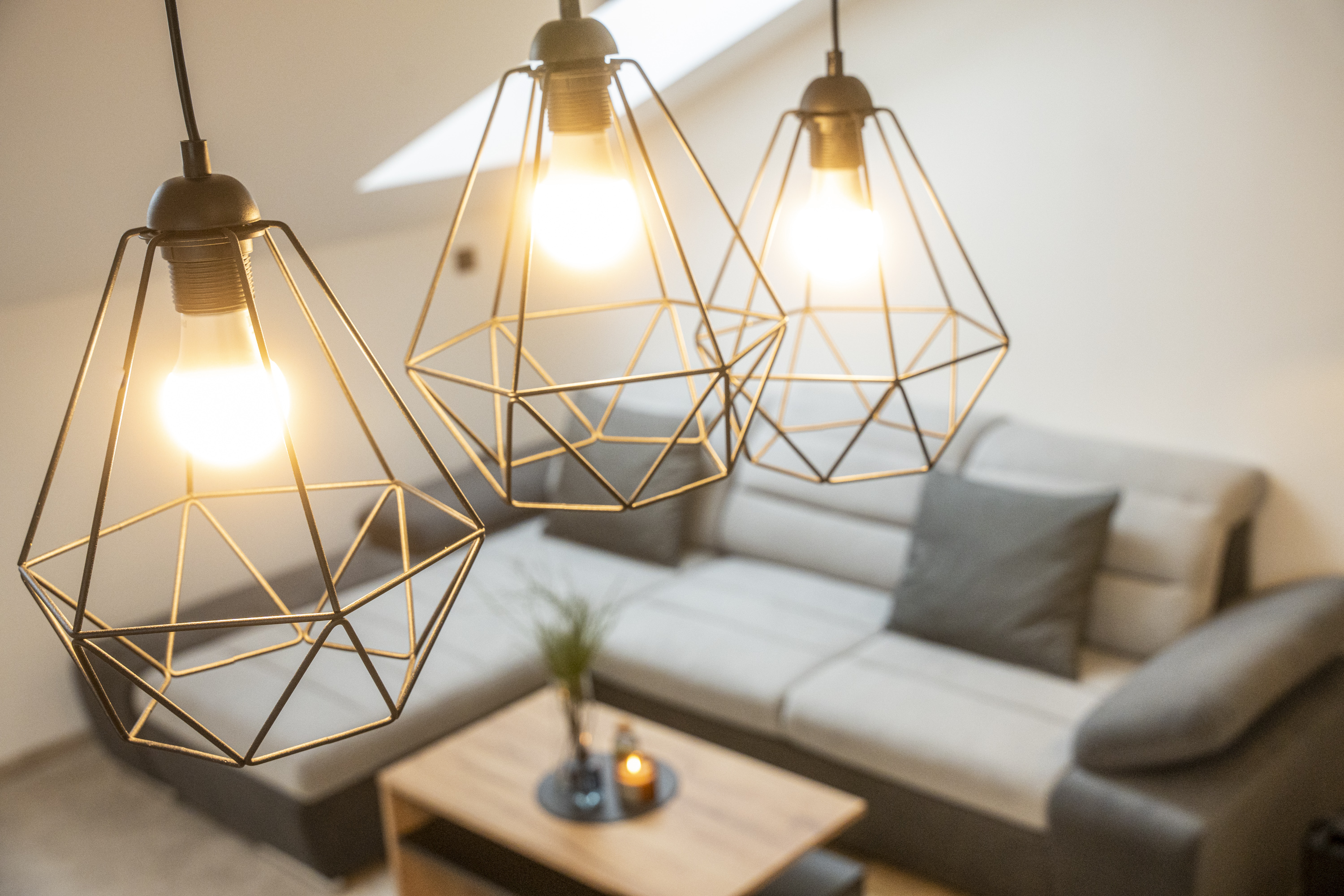 Lázeňské Apartmány foto 4