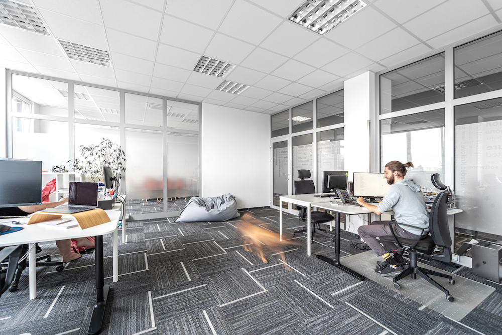 Ler studio | Weby, E-shopy, Grafika, Marketing foto 2