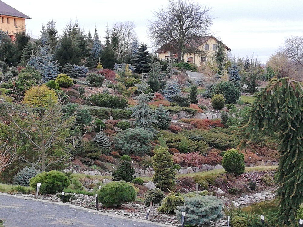 ARBORETUM VŠENORY foto 4