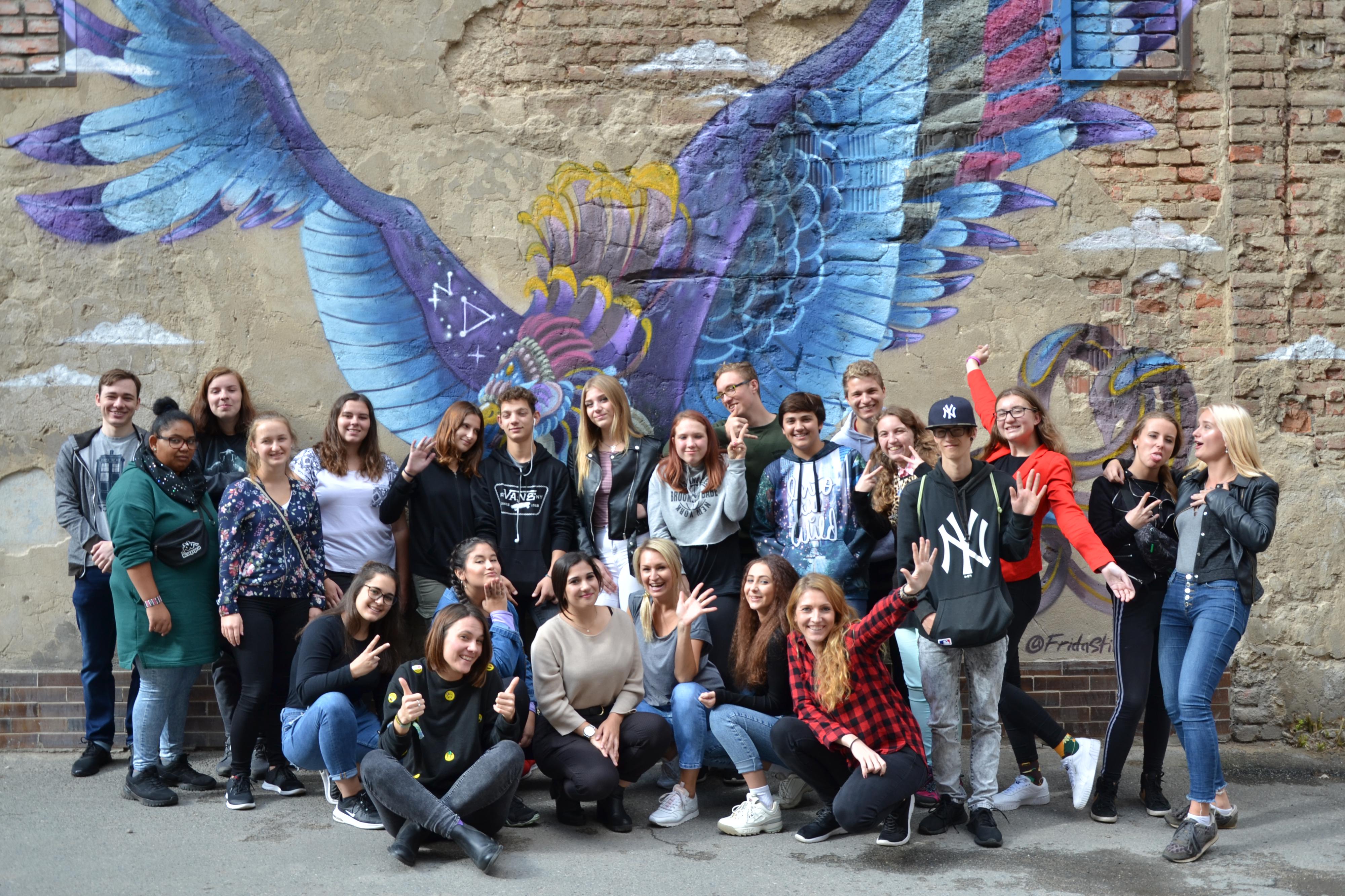 Nadání a dovednosti, o.p.s. foto 2