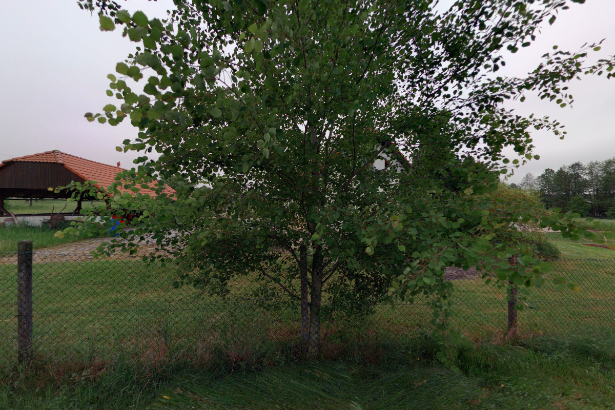 Veřejná lyžařská škola Dobruška, z.s.