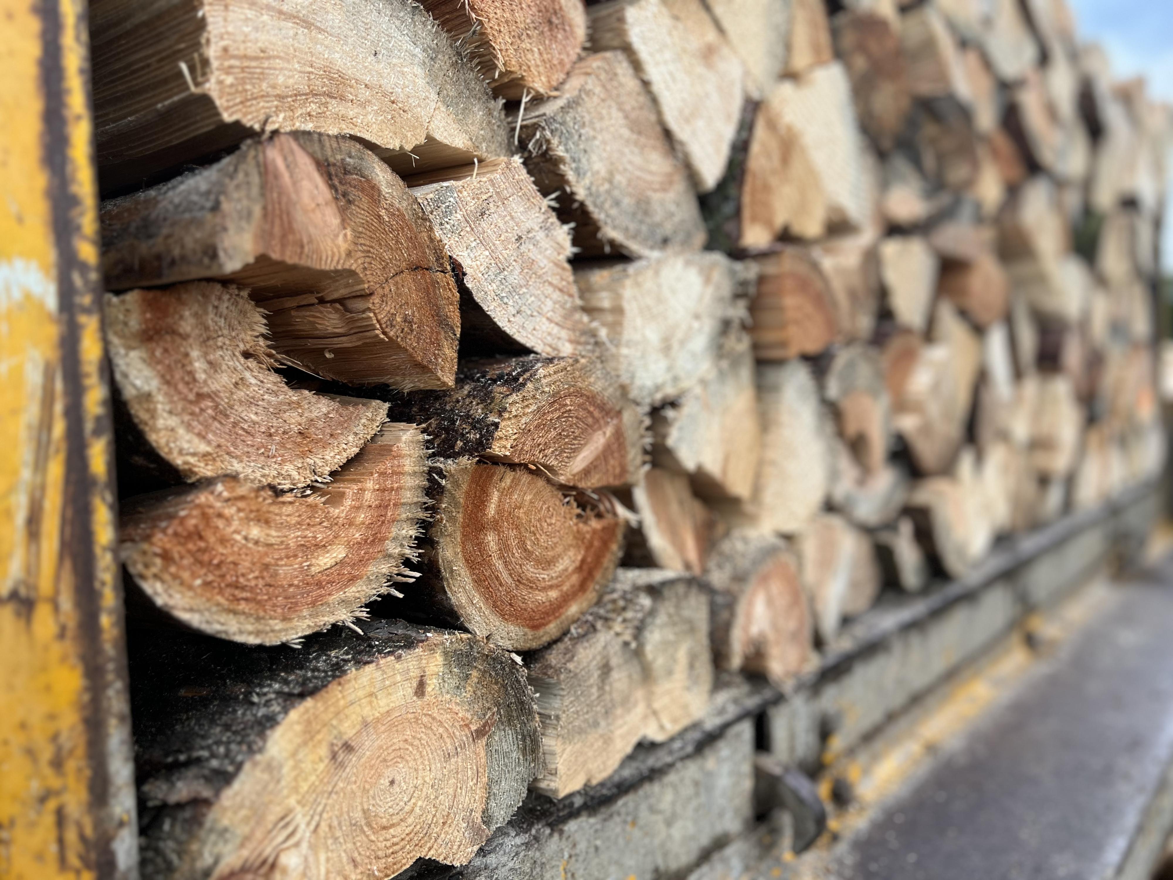 ASCO -  Michal Andrys foto 4