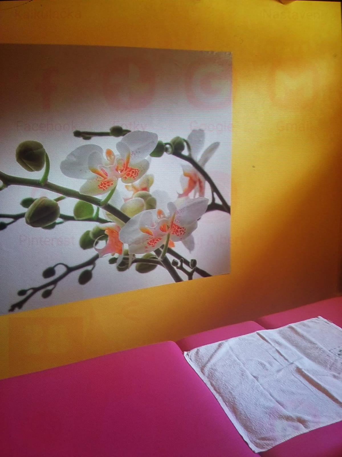 Renáta Berecká foto 5