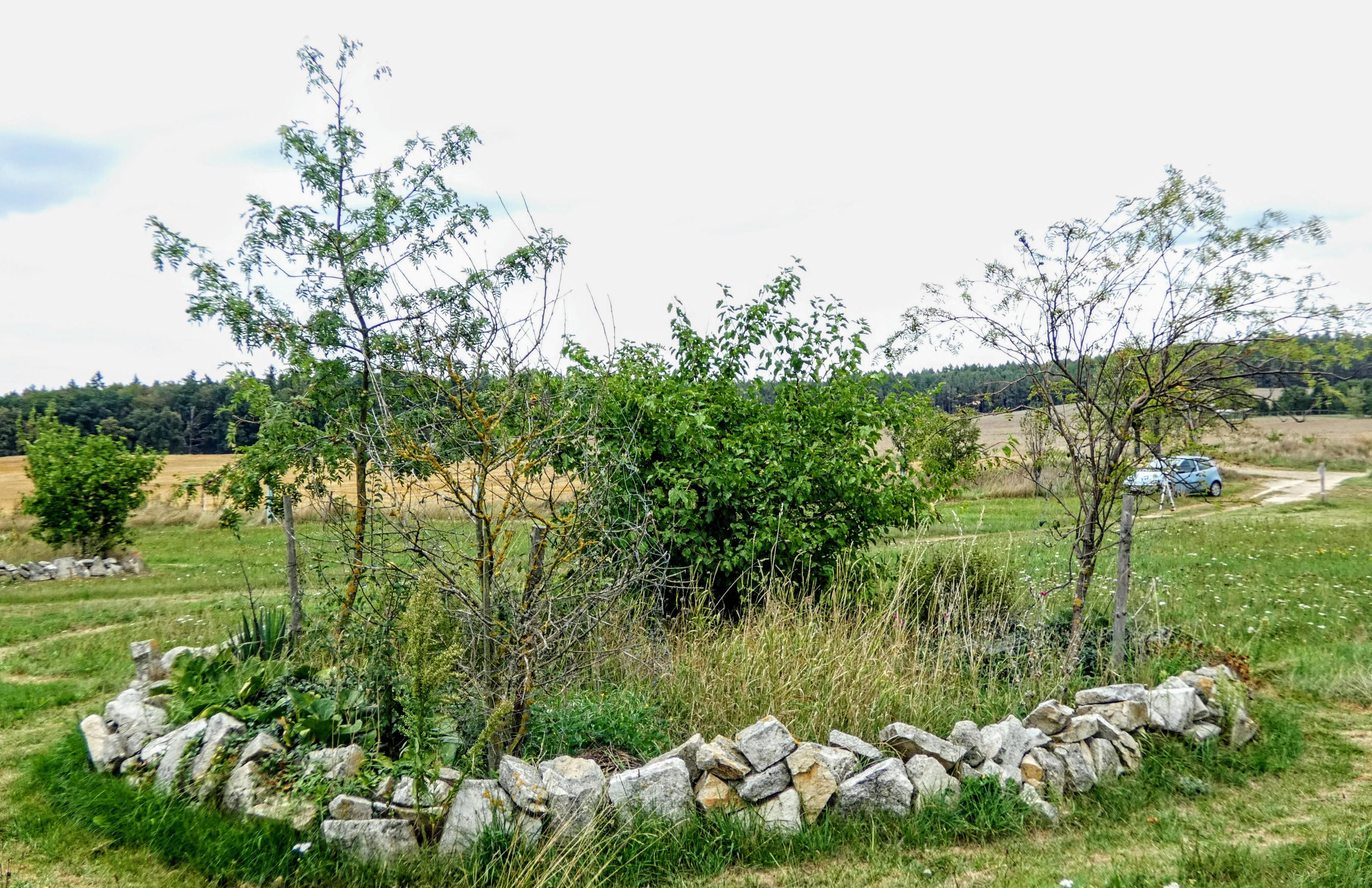 MiniKemp u rozhledny Chalupská Štěpánka foto 5