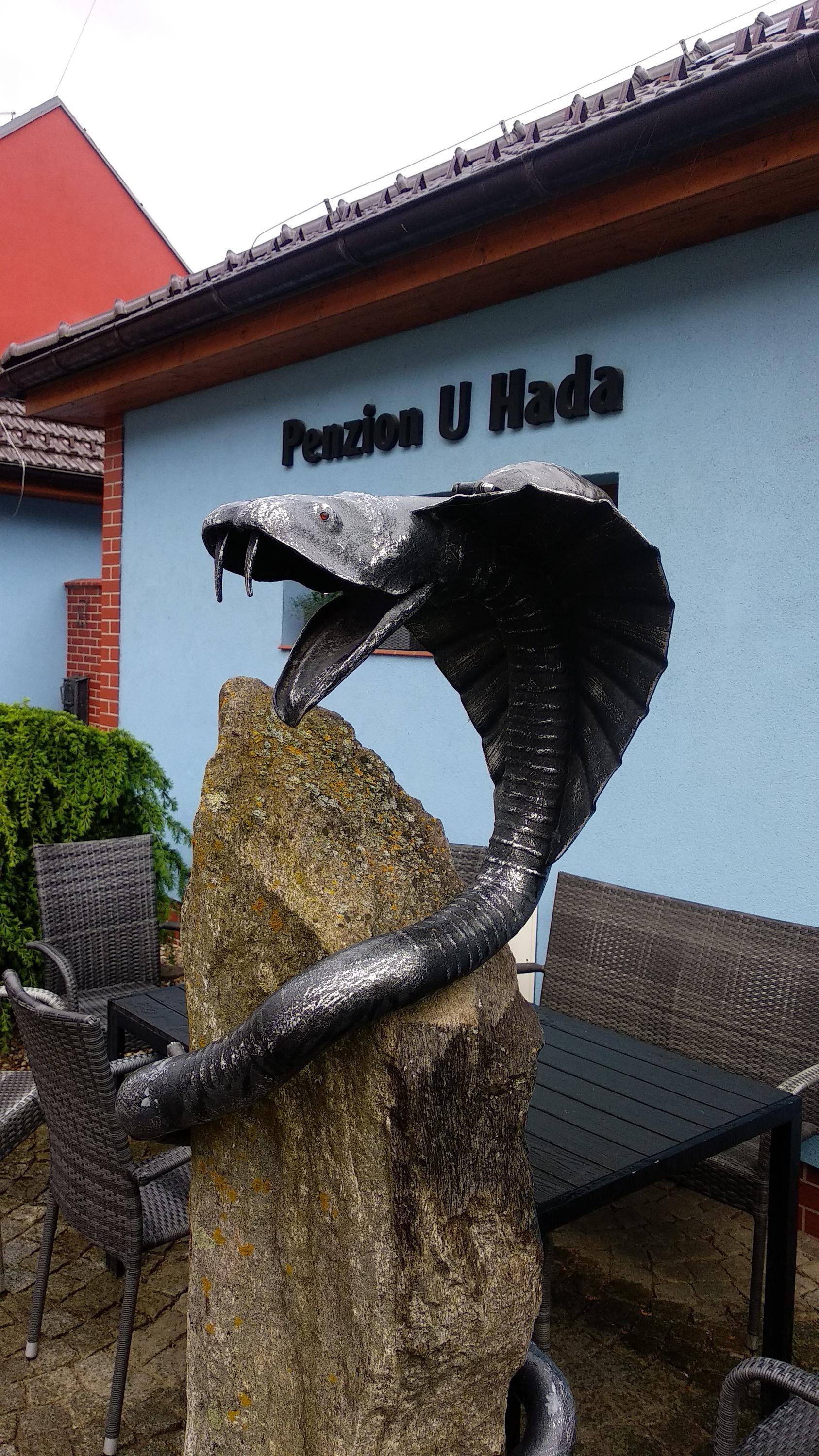 Penzion U Hada foto 5