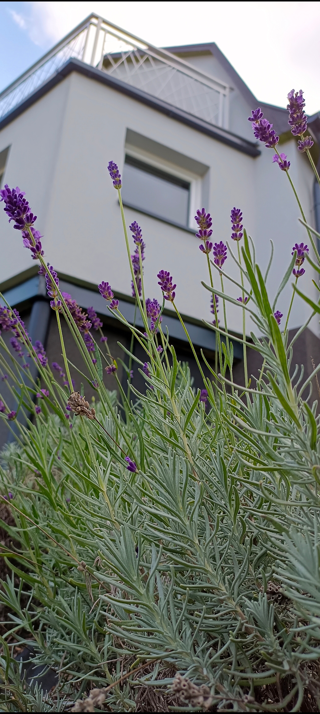 Chata u Černocha foto 2