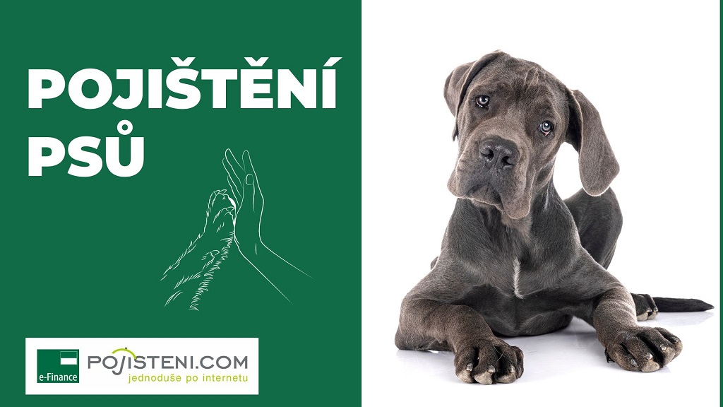 Pojištění.com foto 6