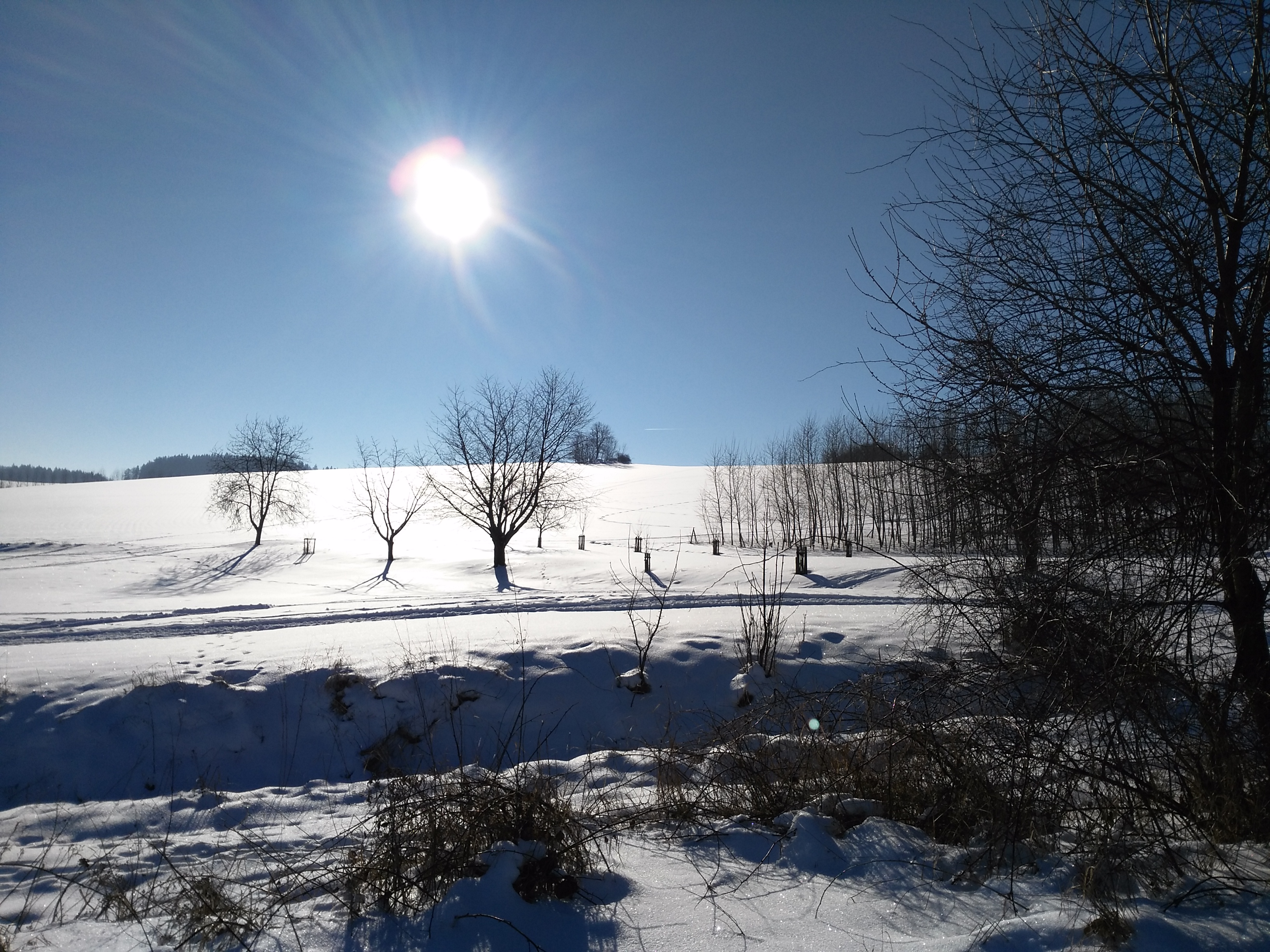 Smilkov - obecní úřad foto 5