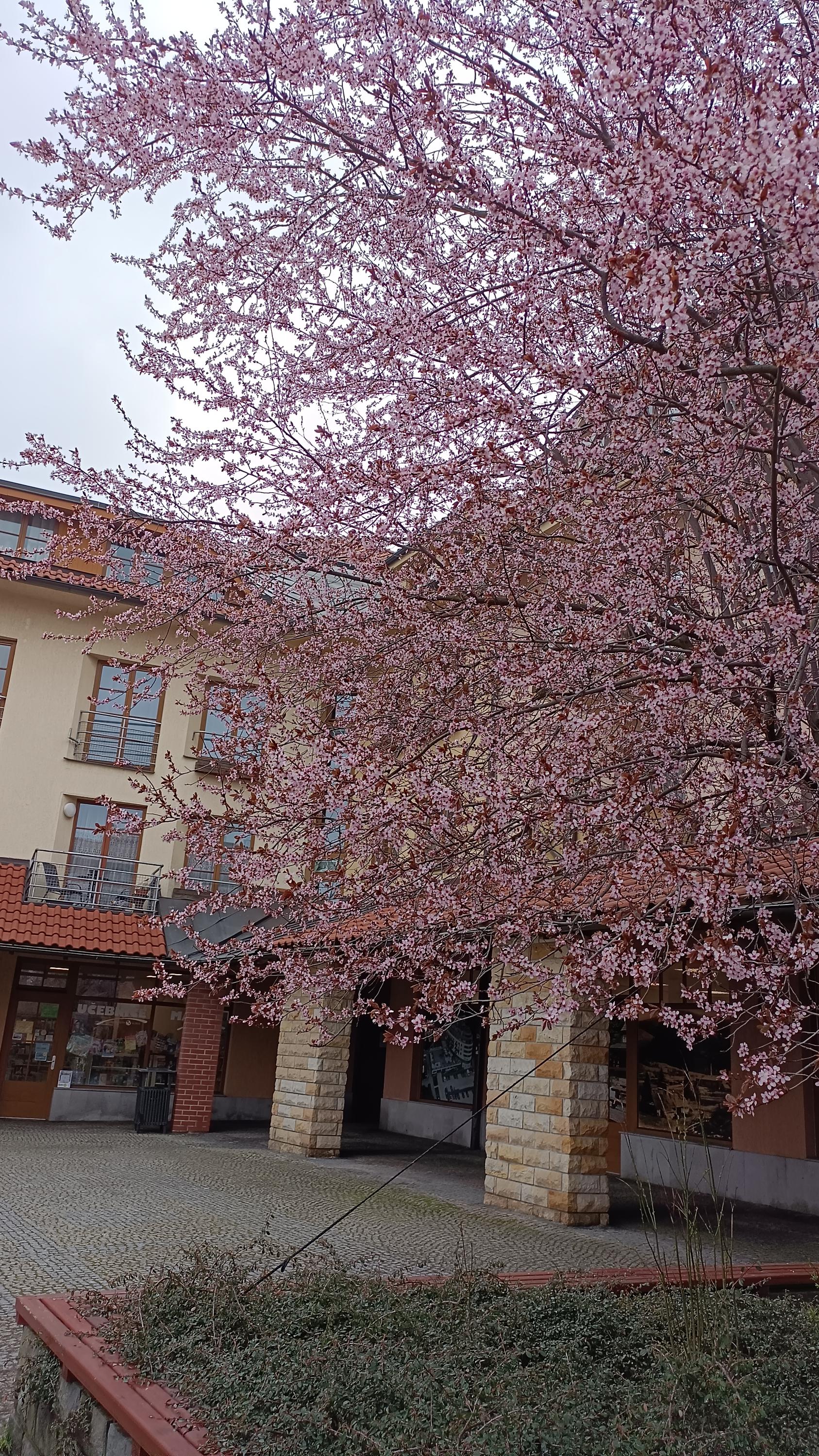 Informační centrum Čeladná foto 3