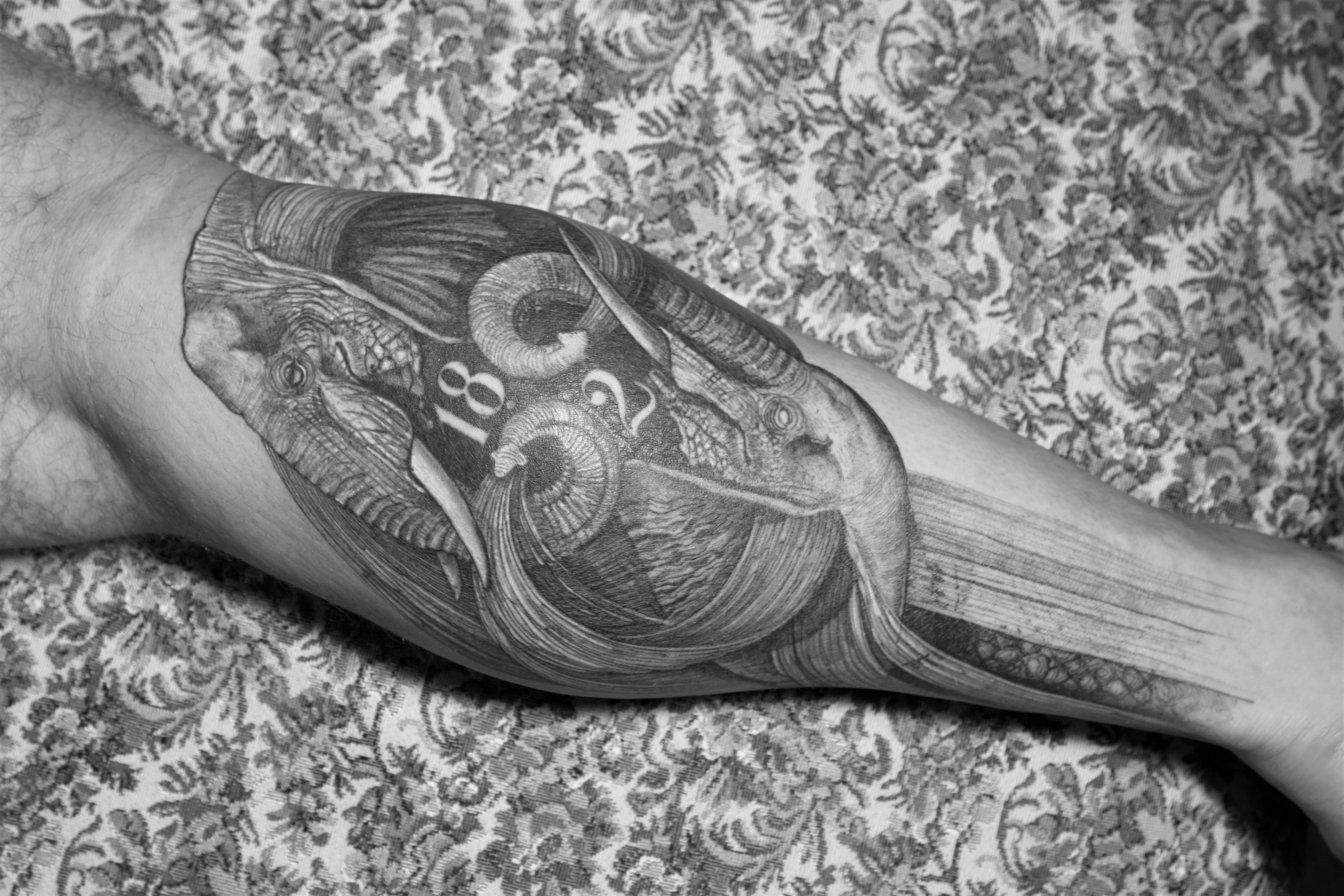 All Saints Tattoo Salon Plzeň foto 4