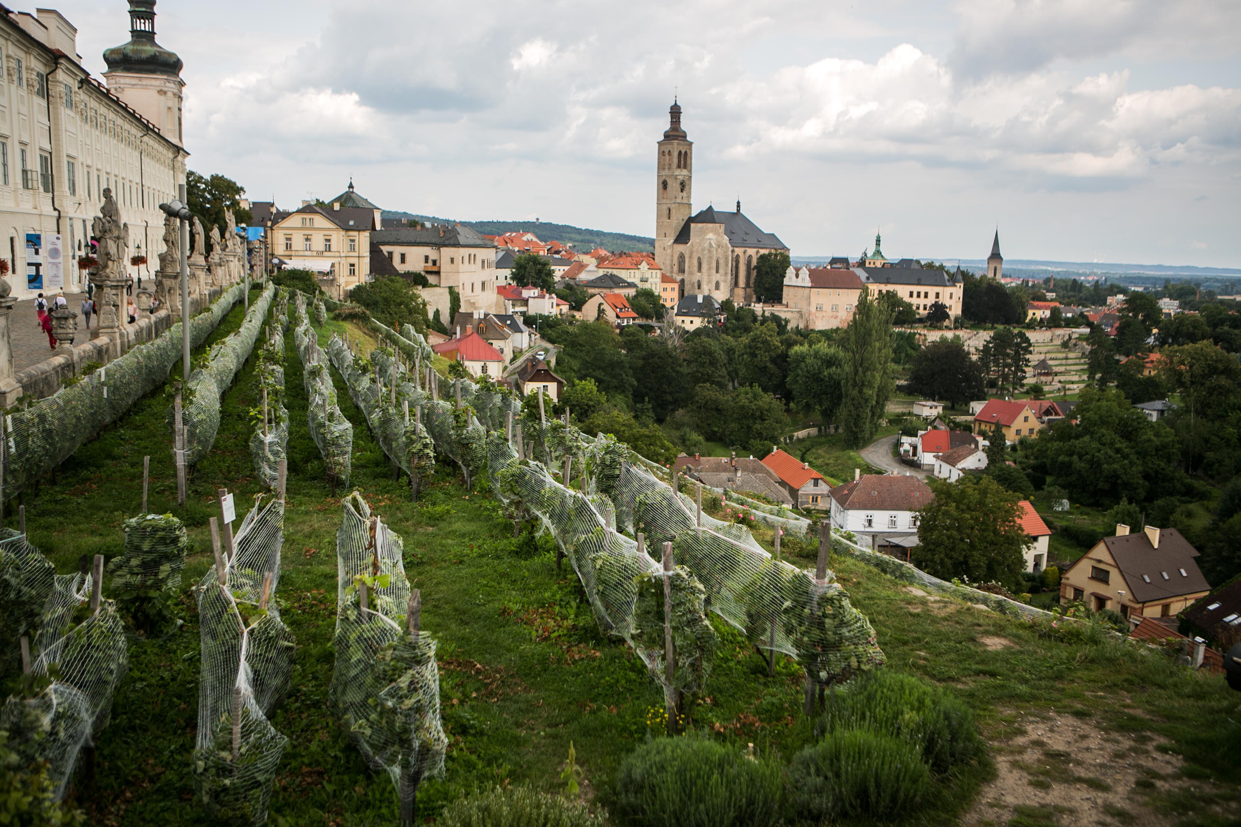 Vinné sklepy Kutná Hora foto 4