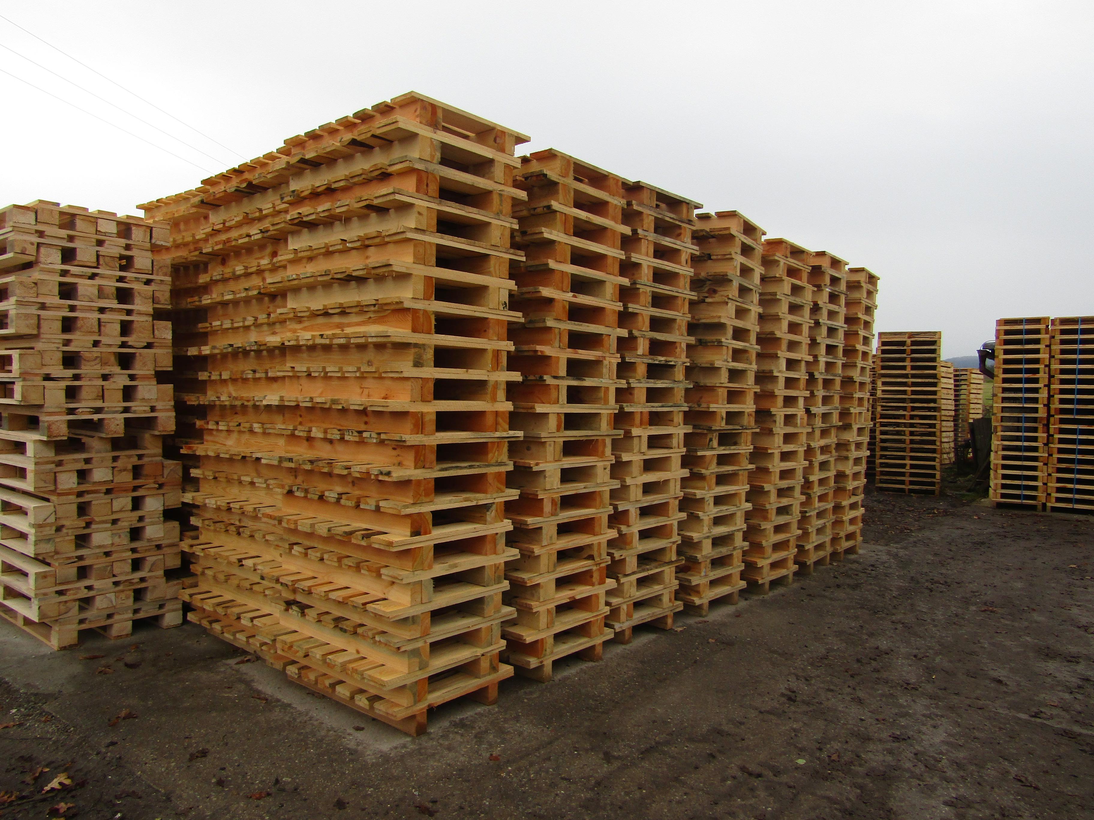 PILA RYTÍŘ s.r.o. foto 2