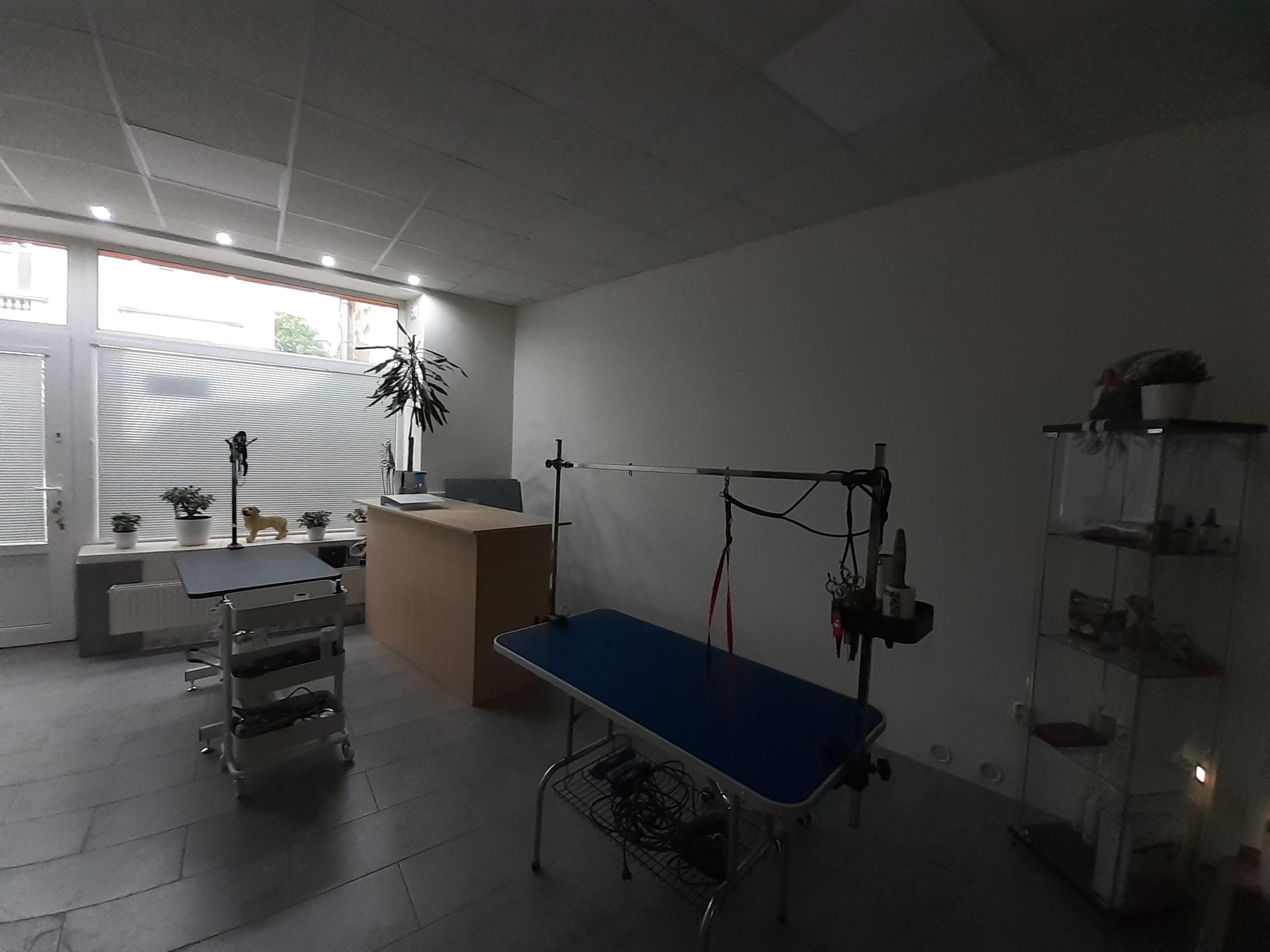 Psí salón AbbyWash foto 4