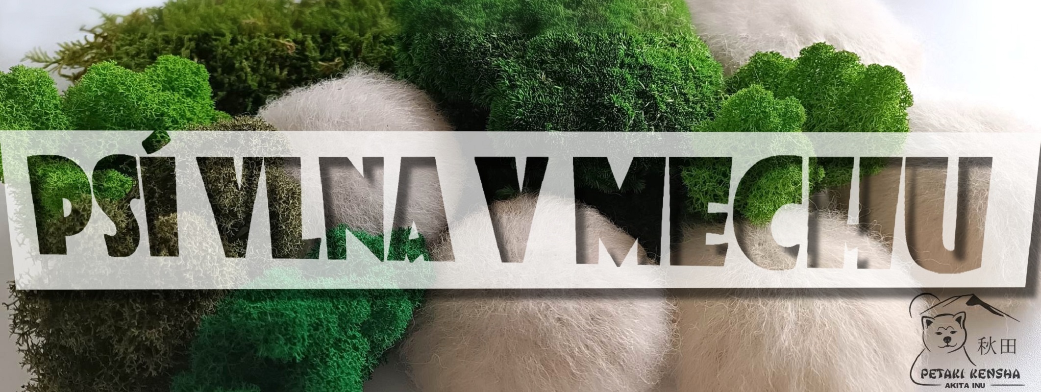 MECH INU Mechové obrazy a dekorace foto 4