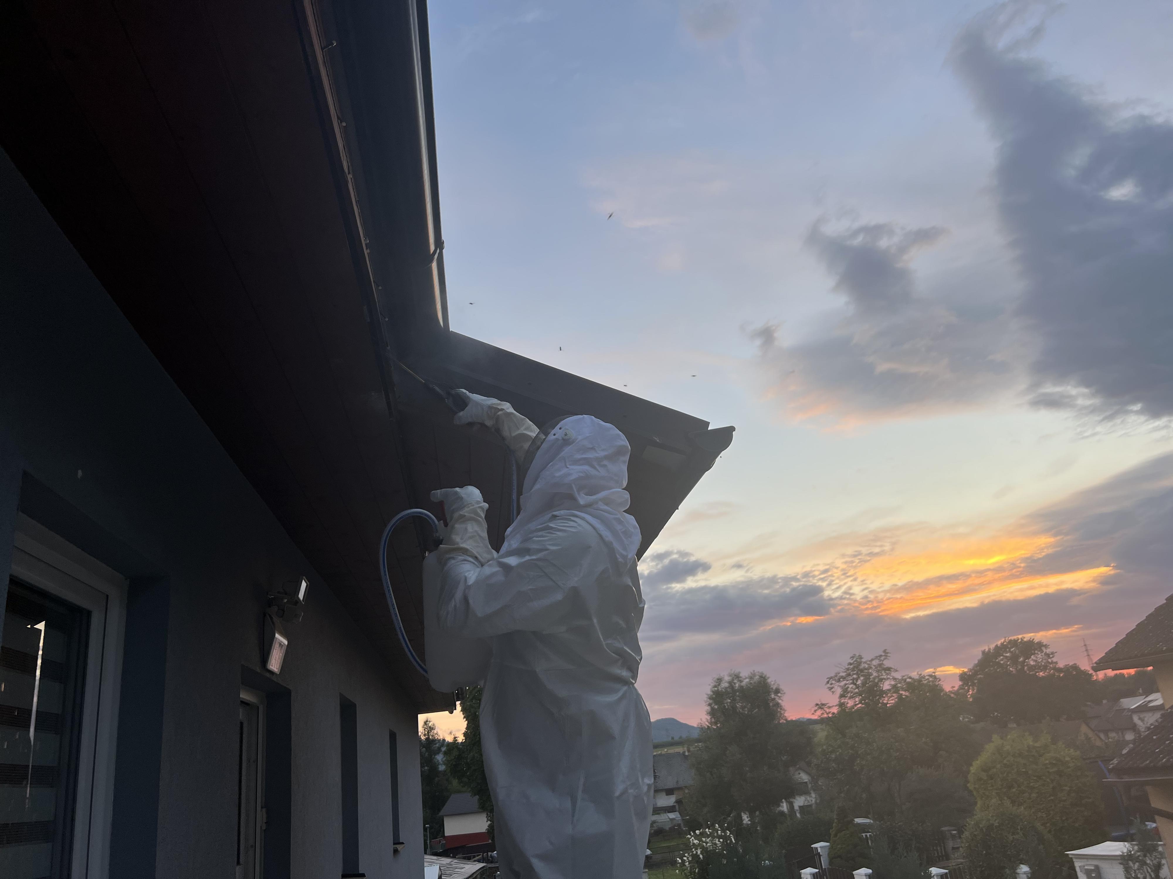 Stop štěnicím - deratizace, dezinsekce, dezinfekce foto 6