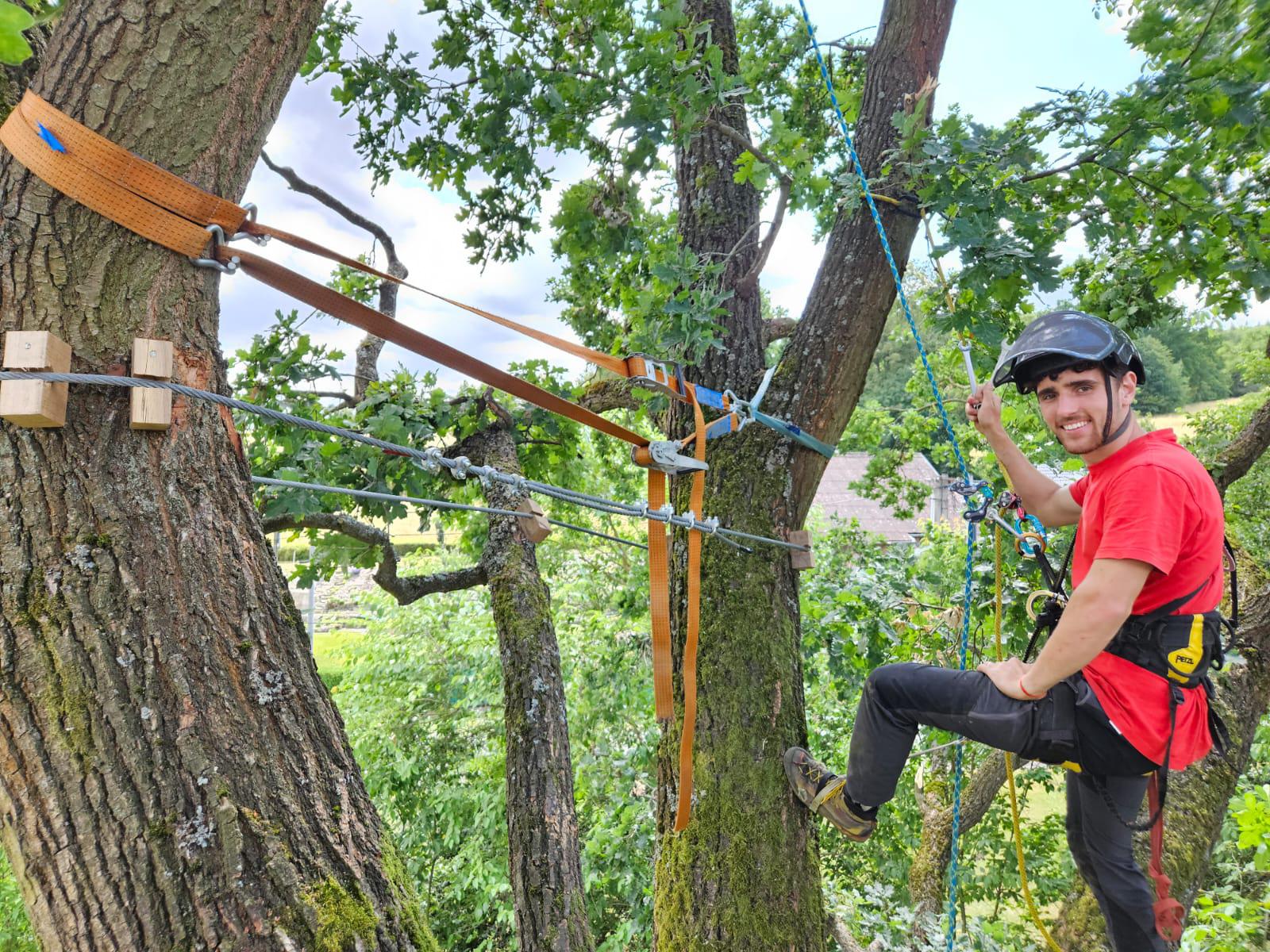 Roman Vasiljev - Práce na stromě foto 5
