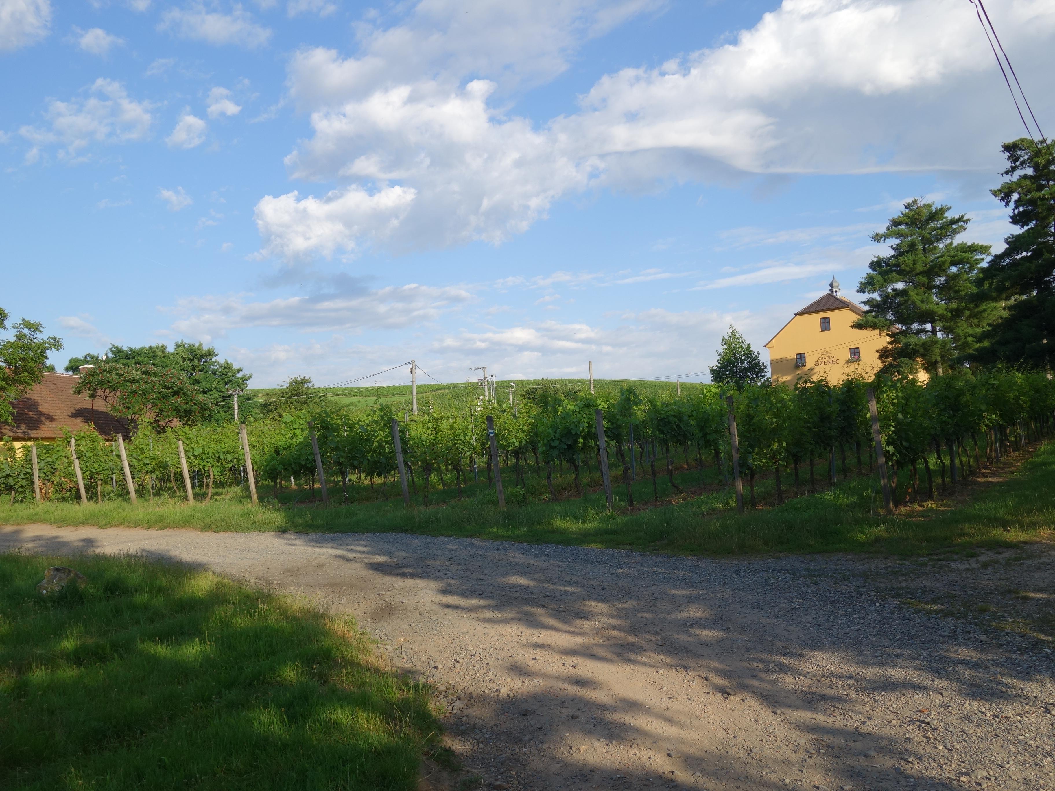Vinařství Chateau Bzenec foto 4