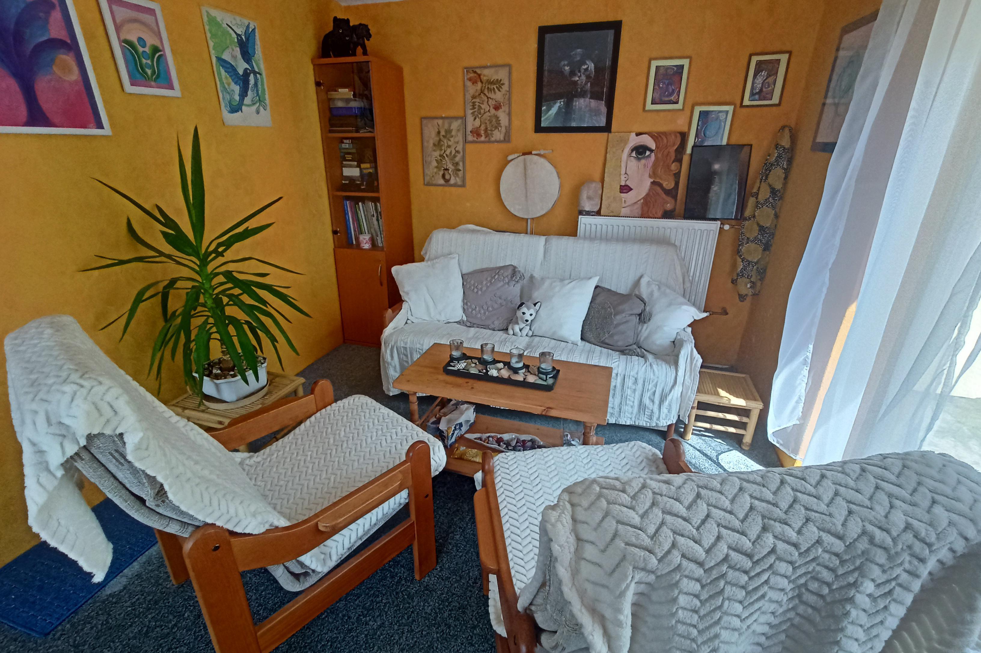 MEREI Monika Novotná