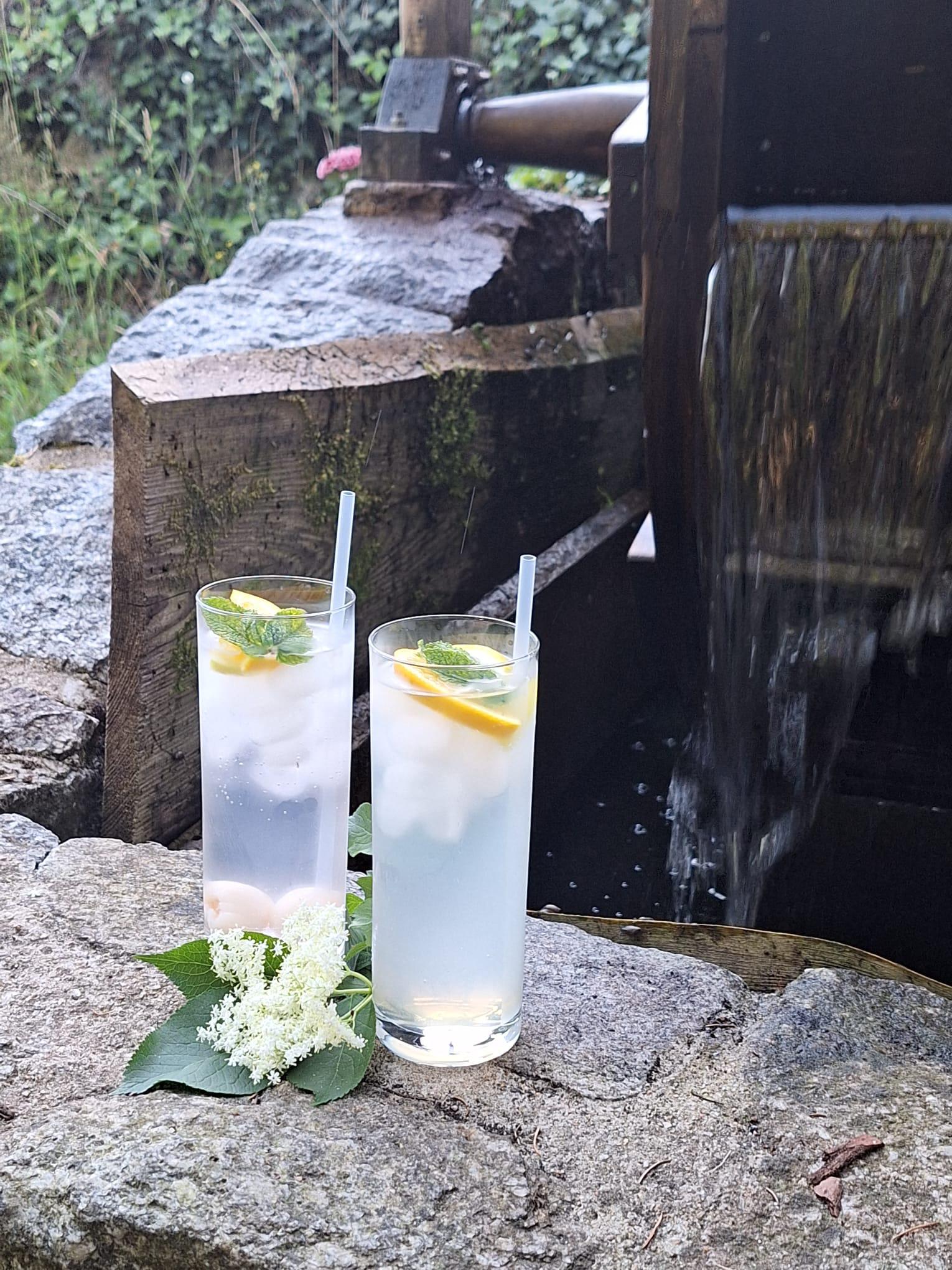 Občerstvení na mlejnku foto 5