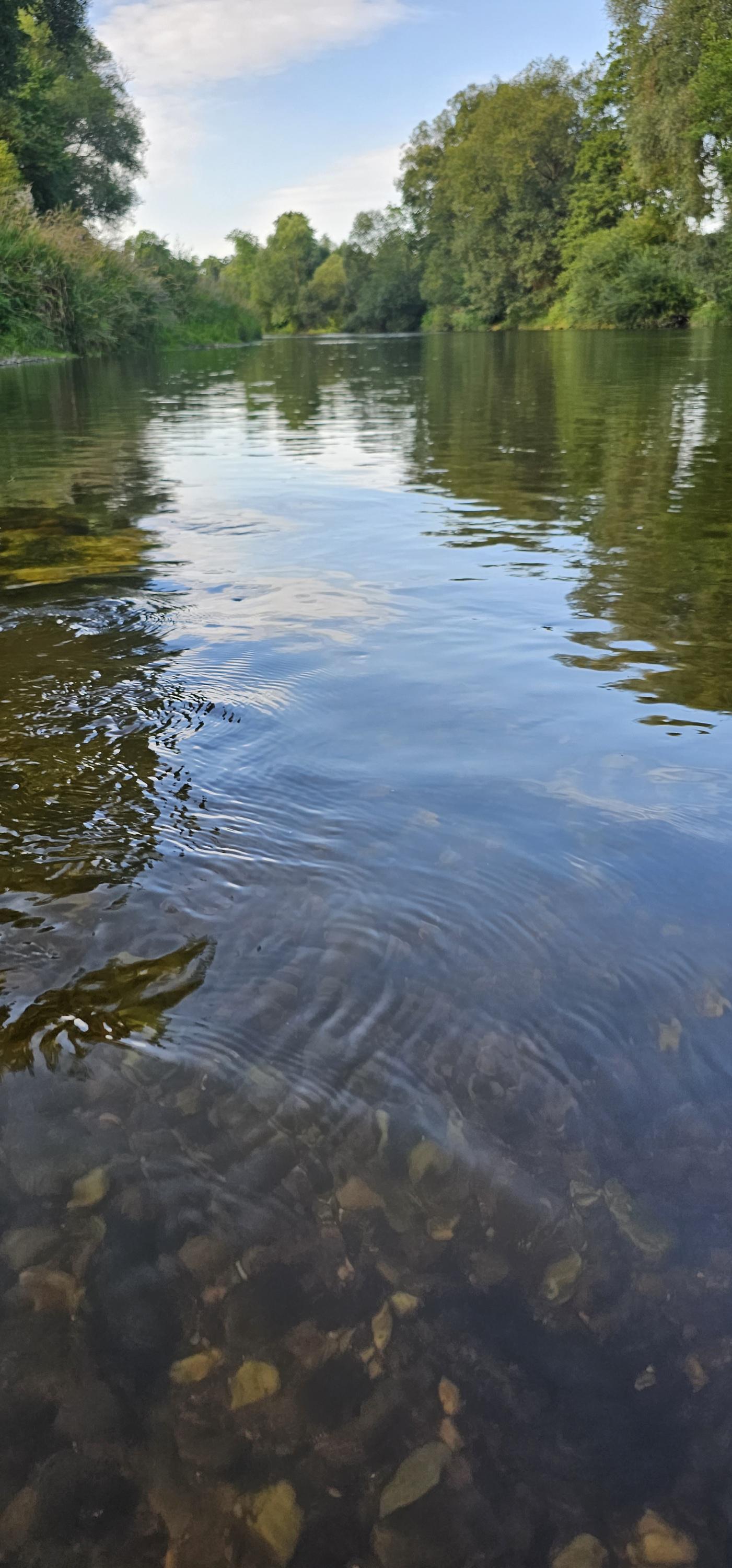 Občerstvení a tábořište u Písečáku foto 2