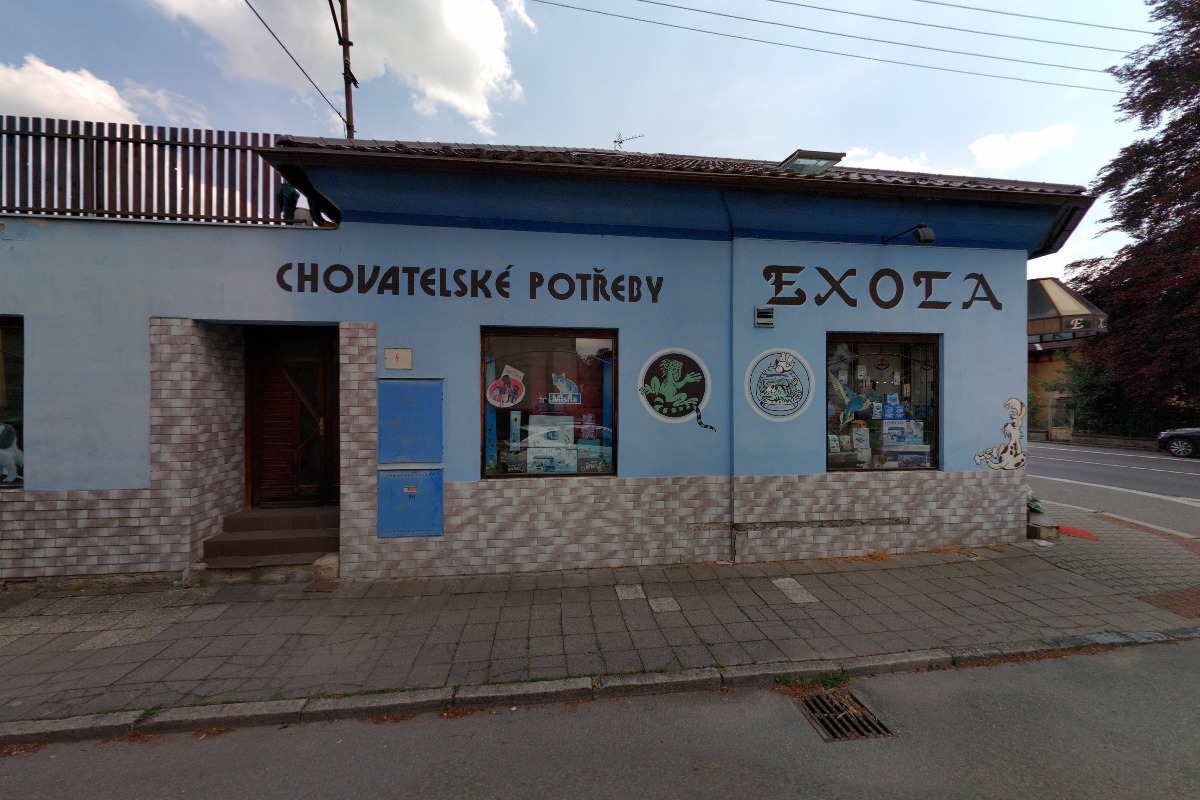 Květoslava Jansová foto 2