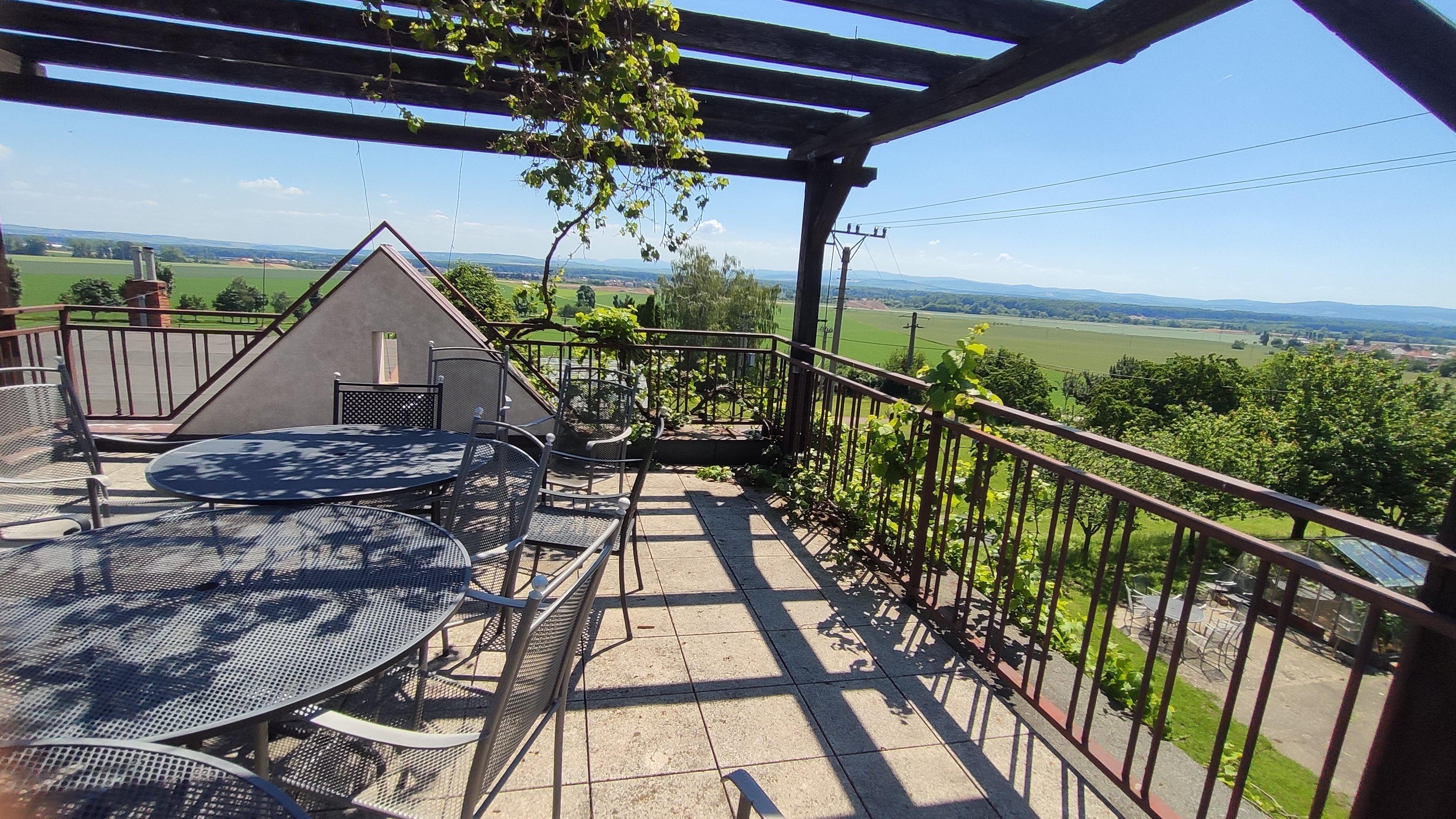 Šlechtitelská stanice vinařská, s.r.o. foto 3