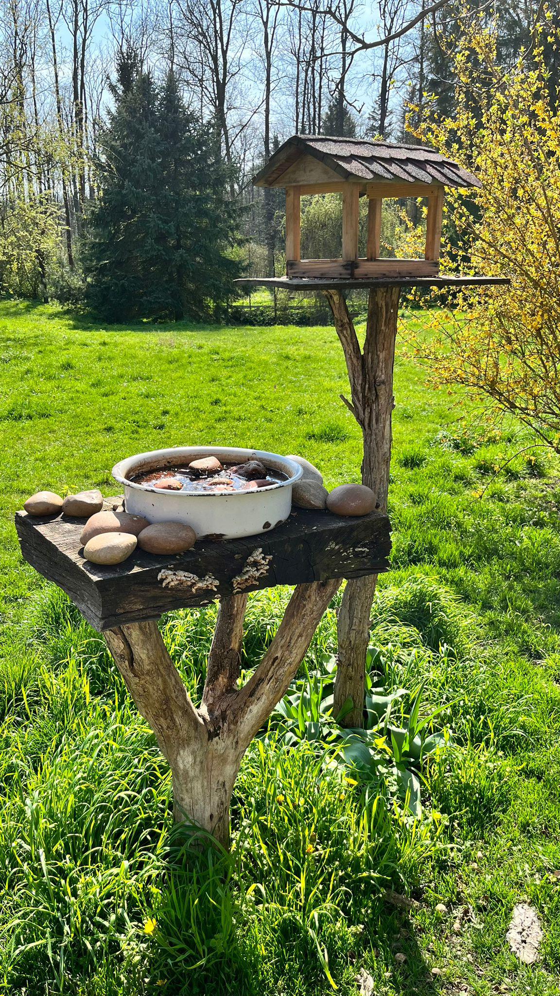 Lesní školka Hájenka foto 5