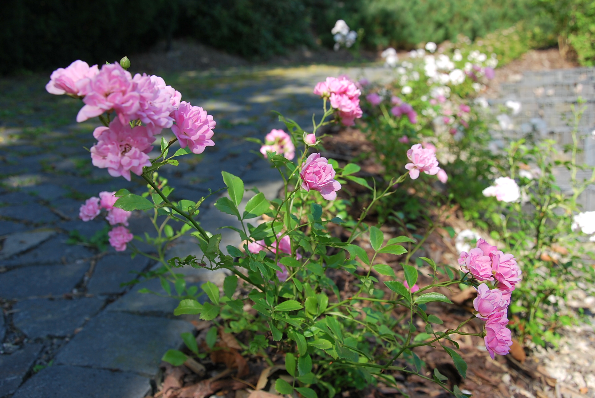 SPANTIK CZ s.r.o. foto 4