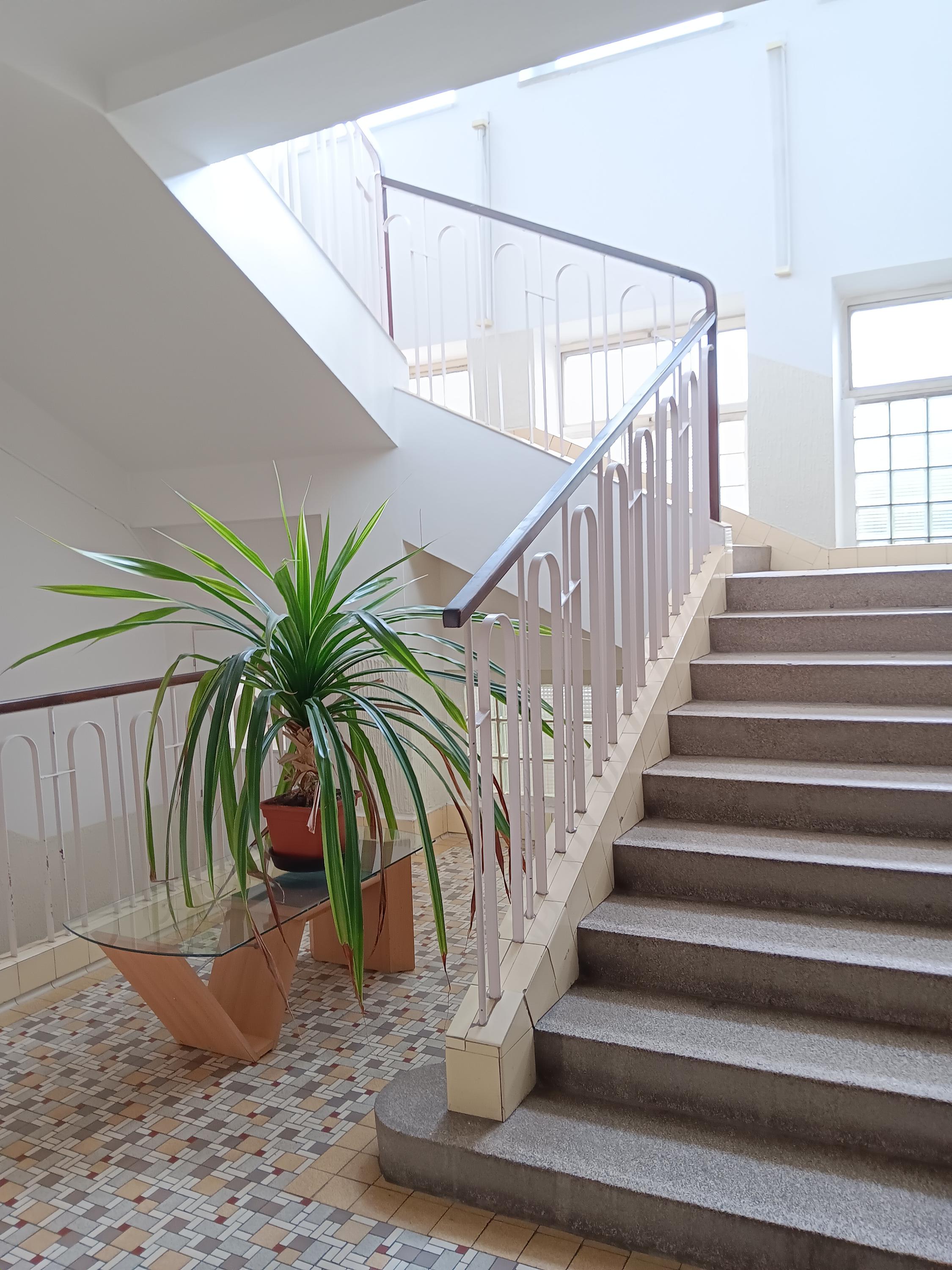 Lékárna Sezimovo Ústí foto 2