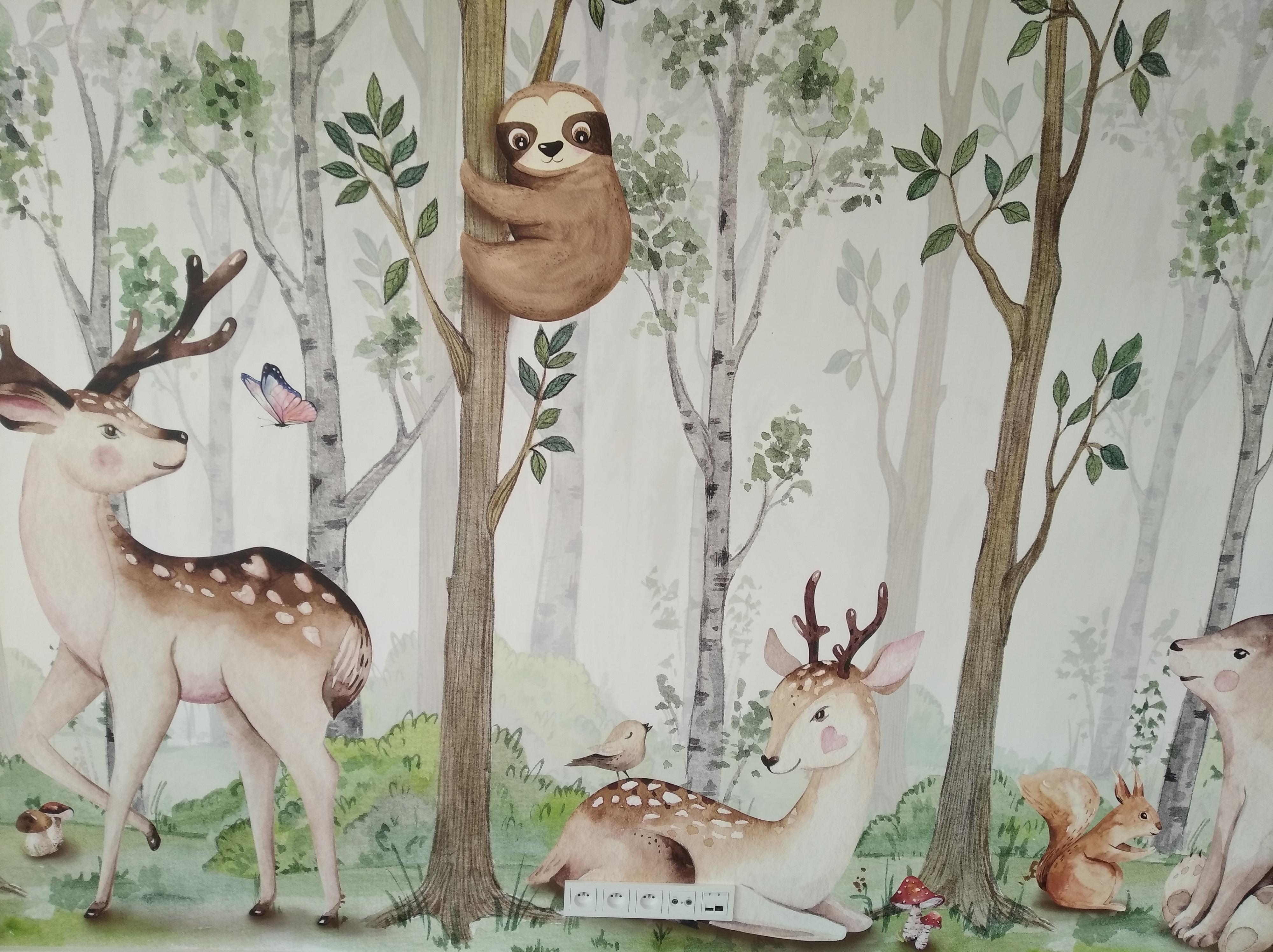 Pavel Jandus - Tapetářské práce foto 2