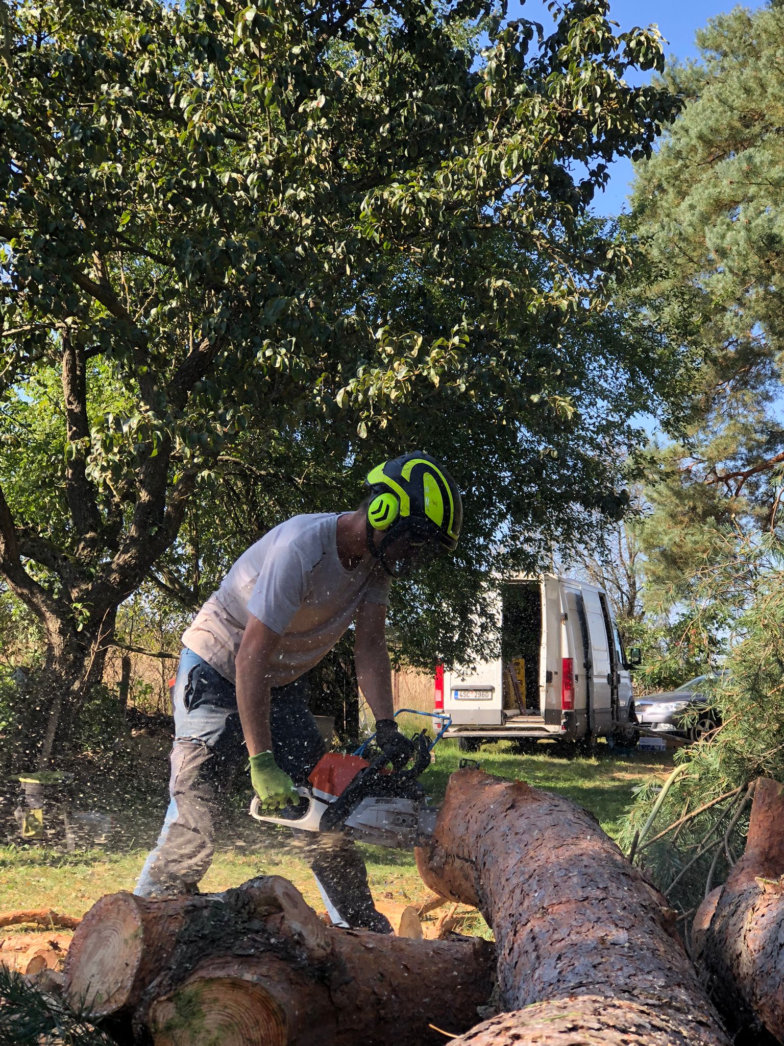 Tree Works - rizikové kácení a prořez stromů foto 3