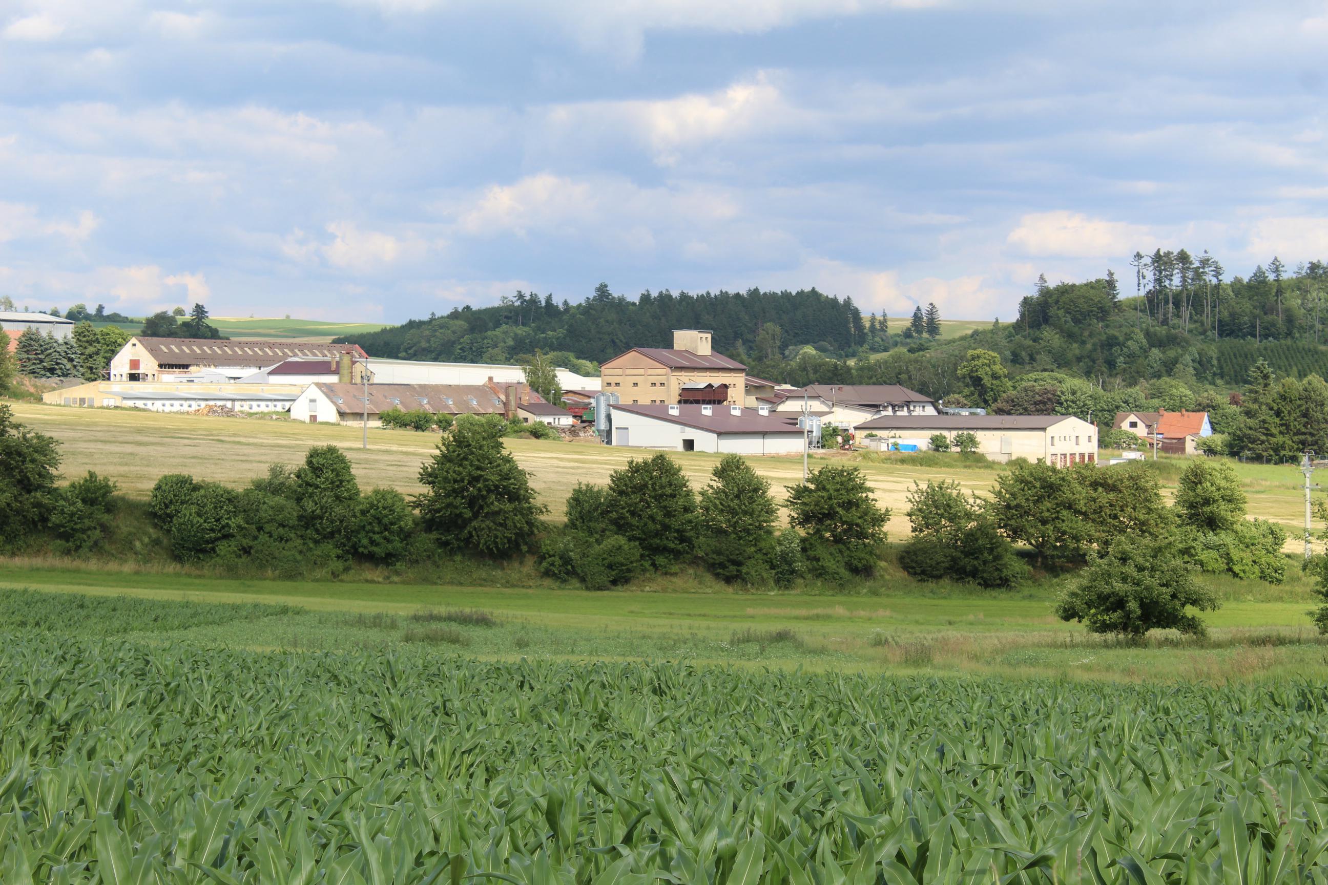 Řeznictví Šutera foto 2