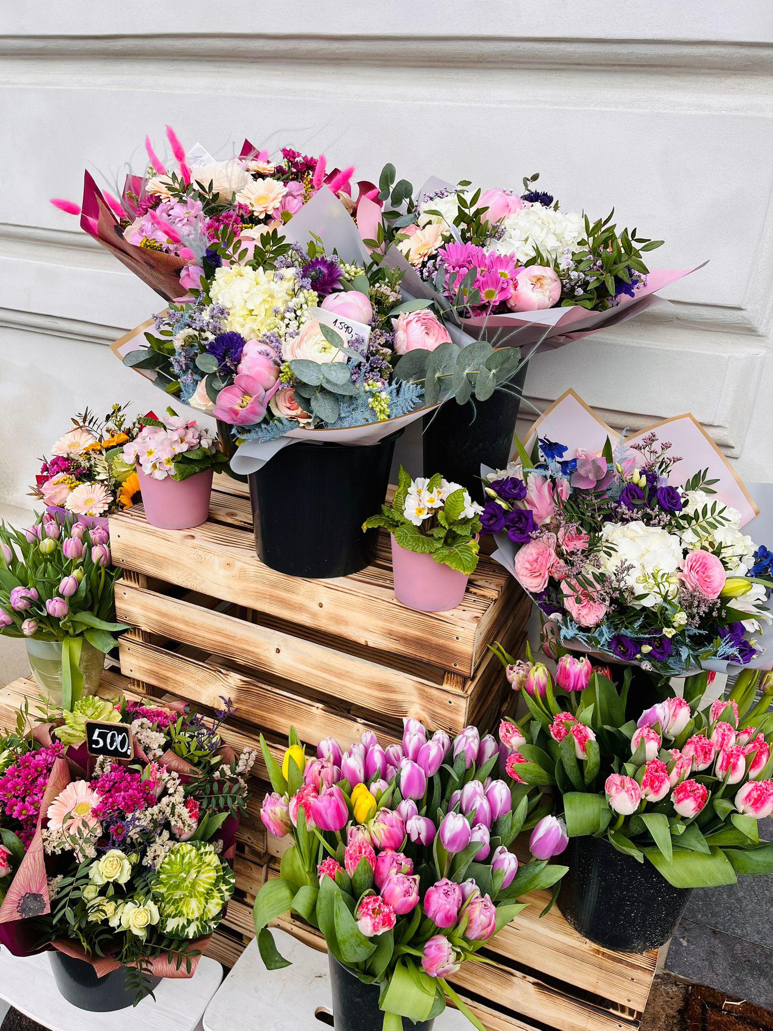 Katty Flowers foto 6
