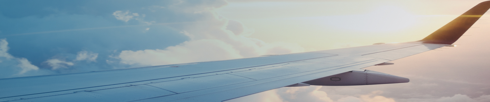 Cover image Letuška.cz  / ASIANA