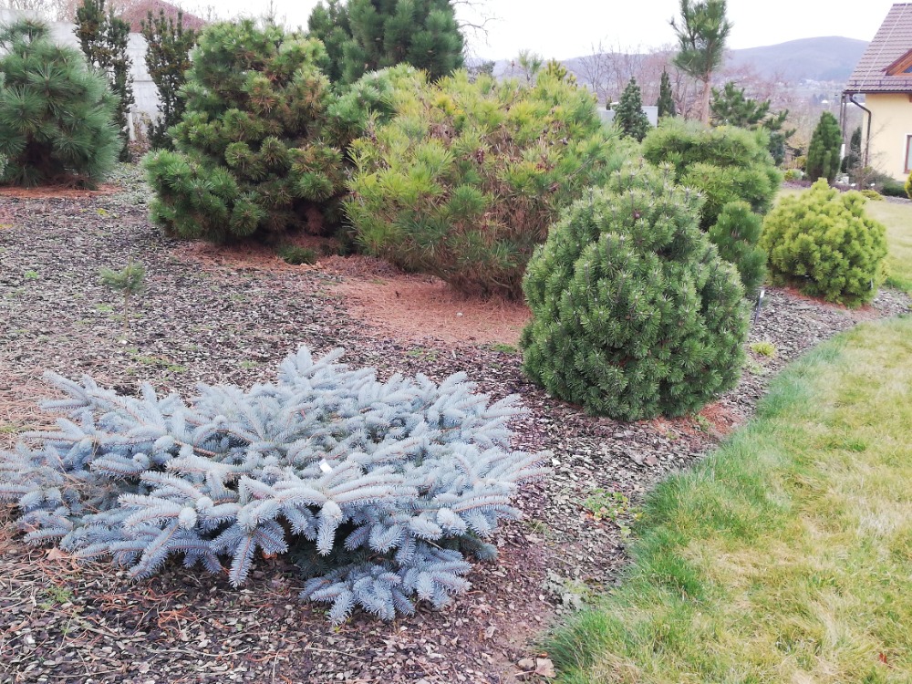 ARBORETUM VŠENORY foto 3