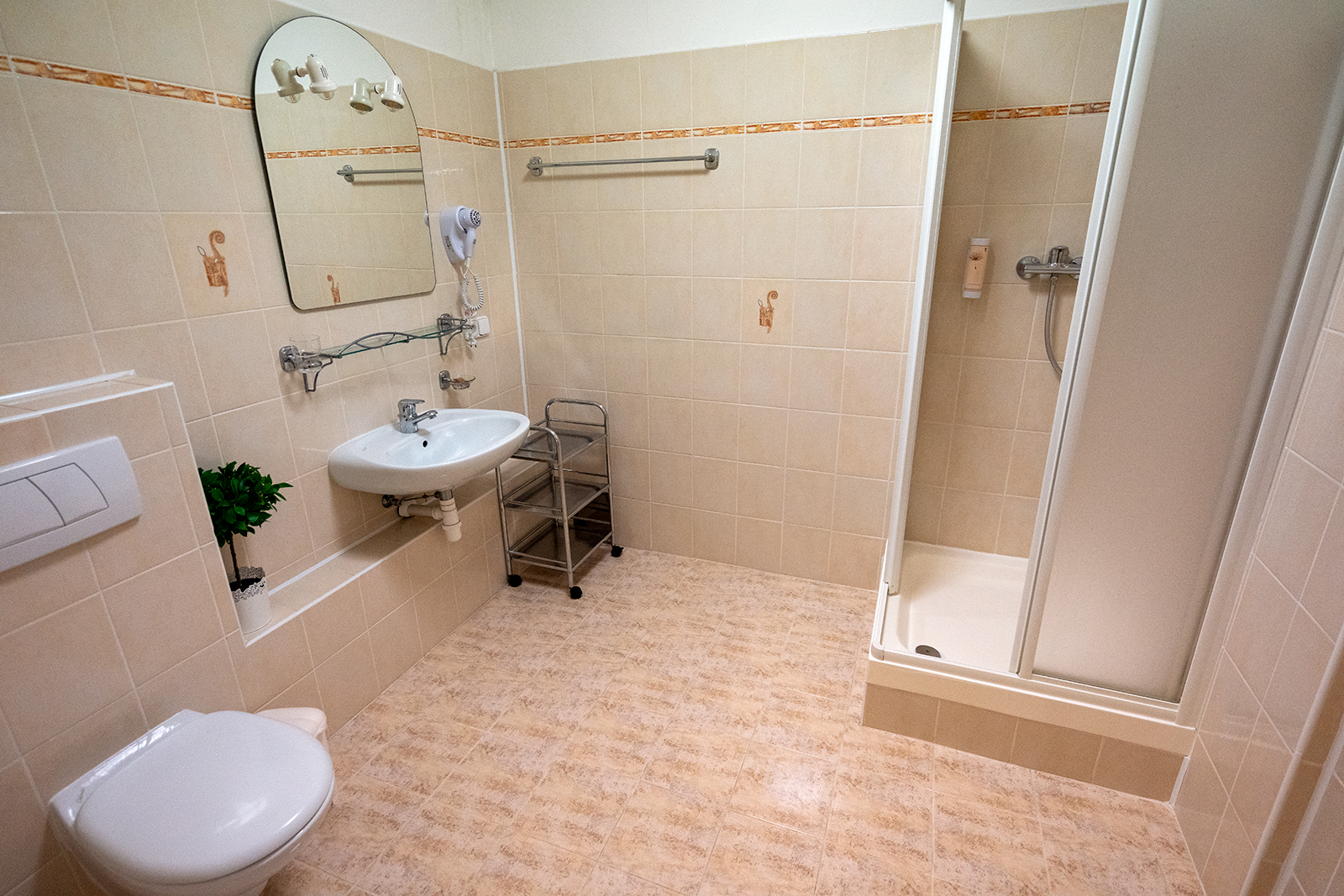 Pension U Kostela foto 3