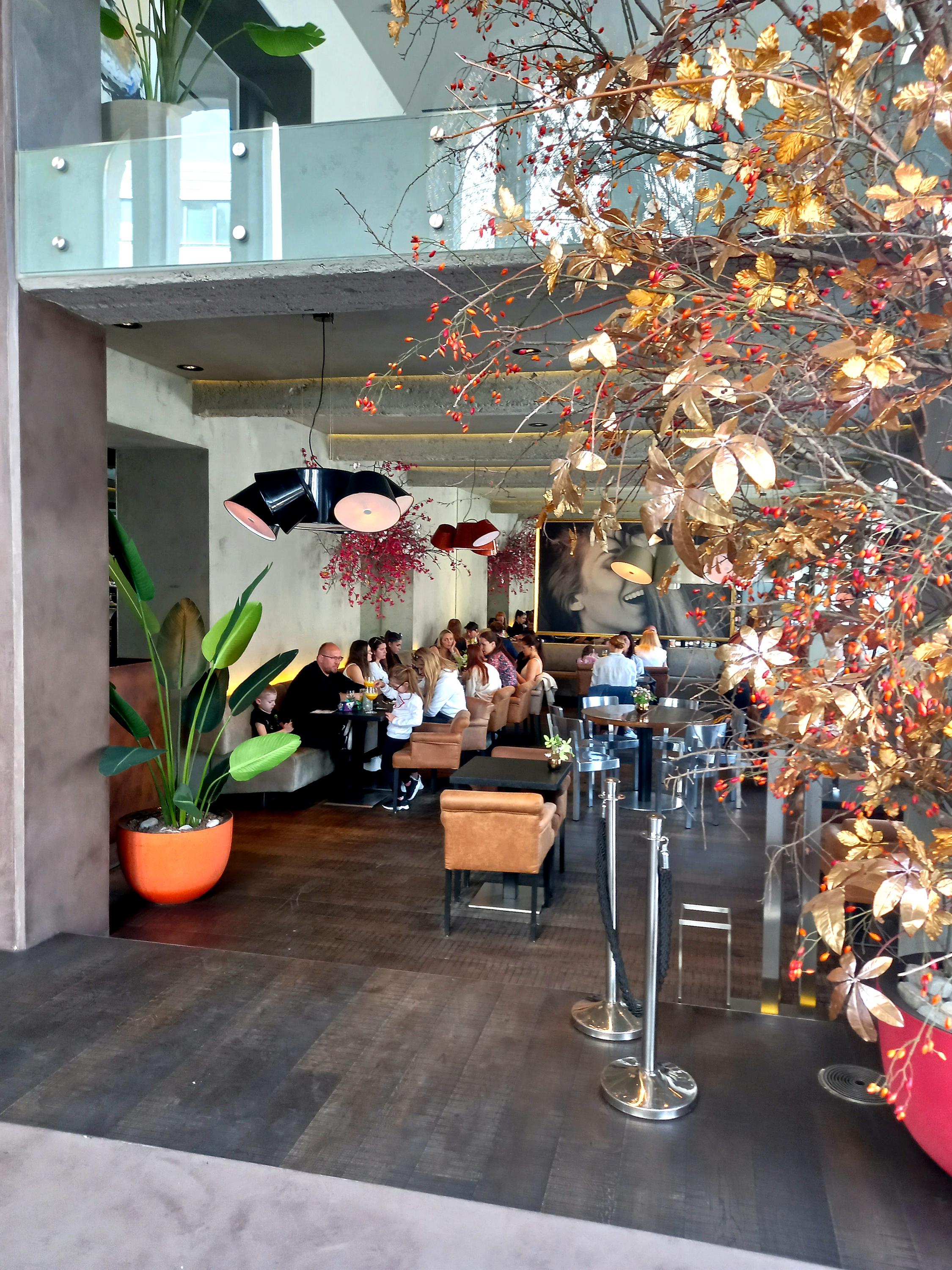 Café new one foto 4