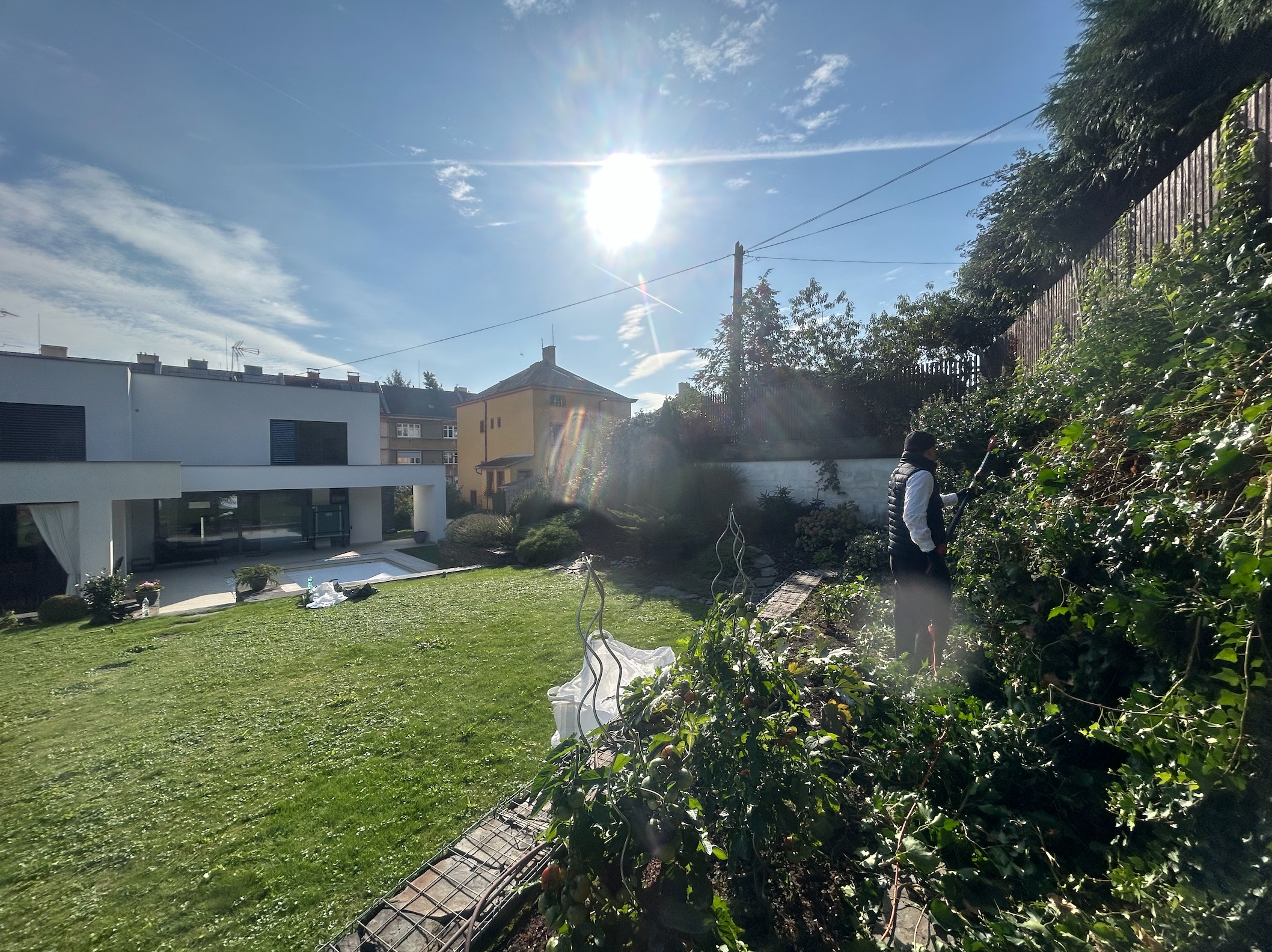 Synátoři - zeleň a zahrady foto 5