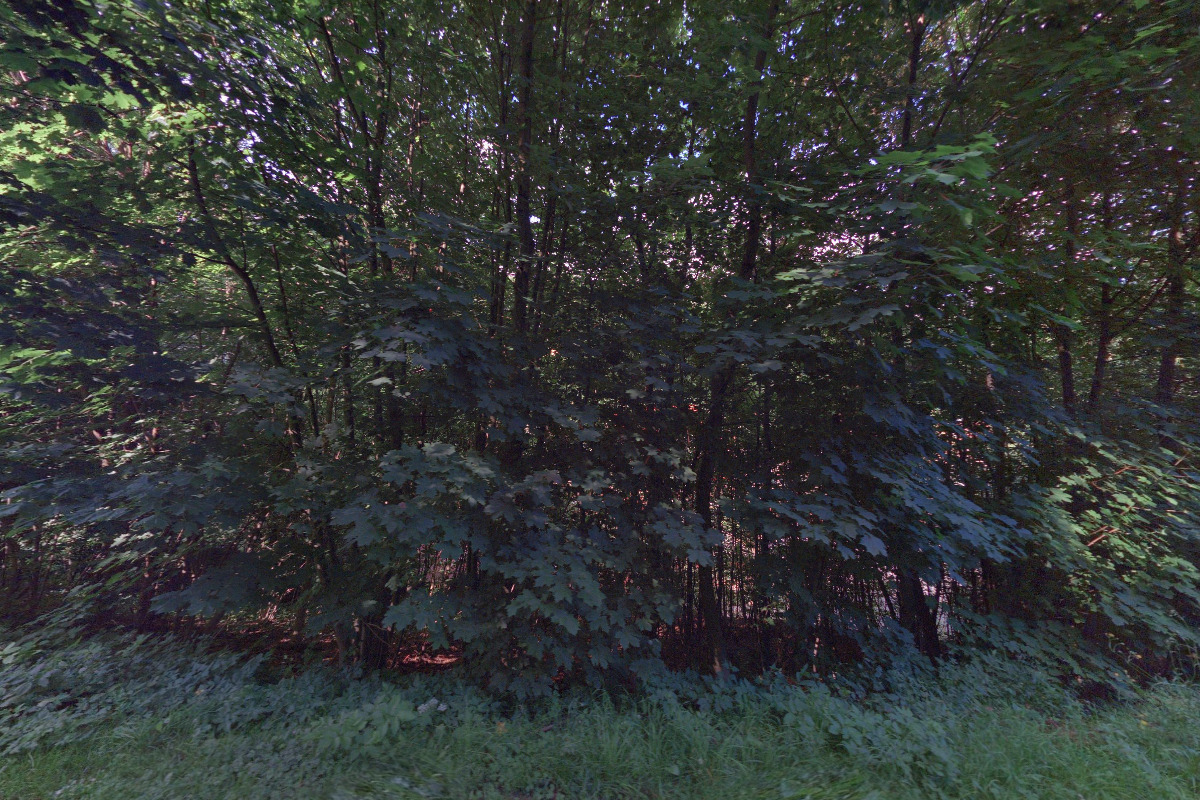 Ubytování Jáchymov 1041