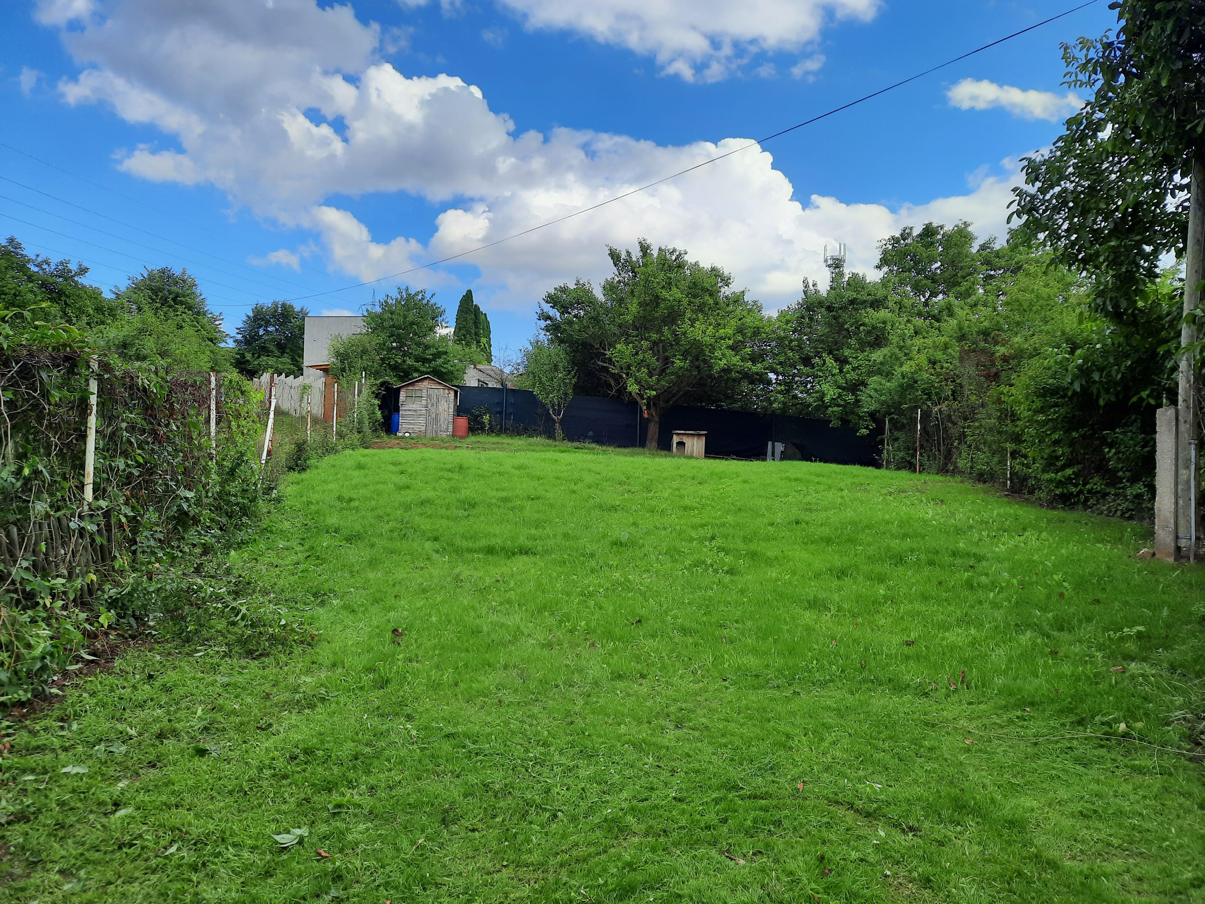 Psí škola JeToPsina